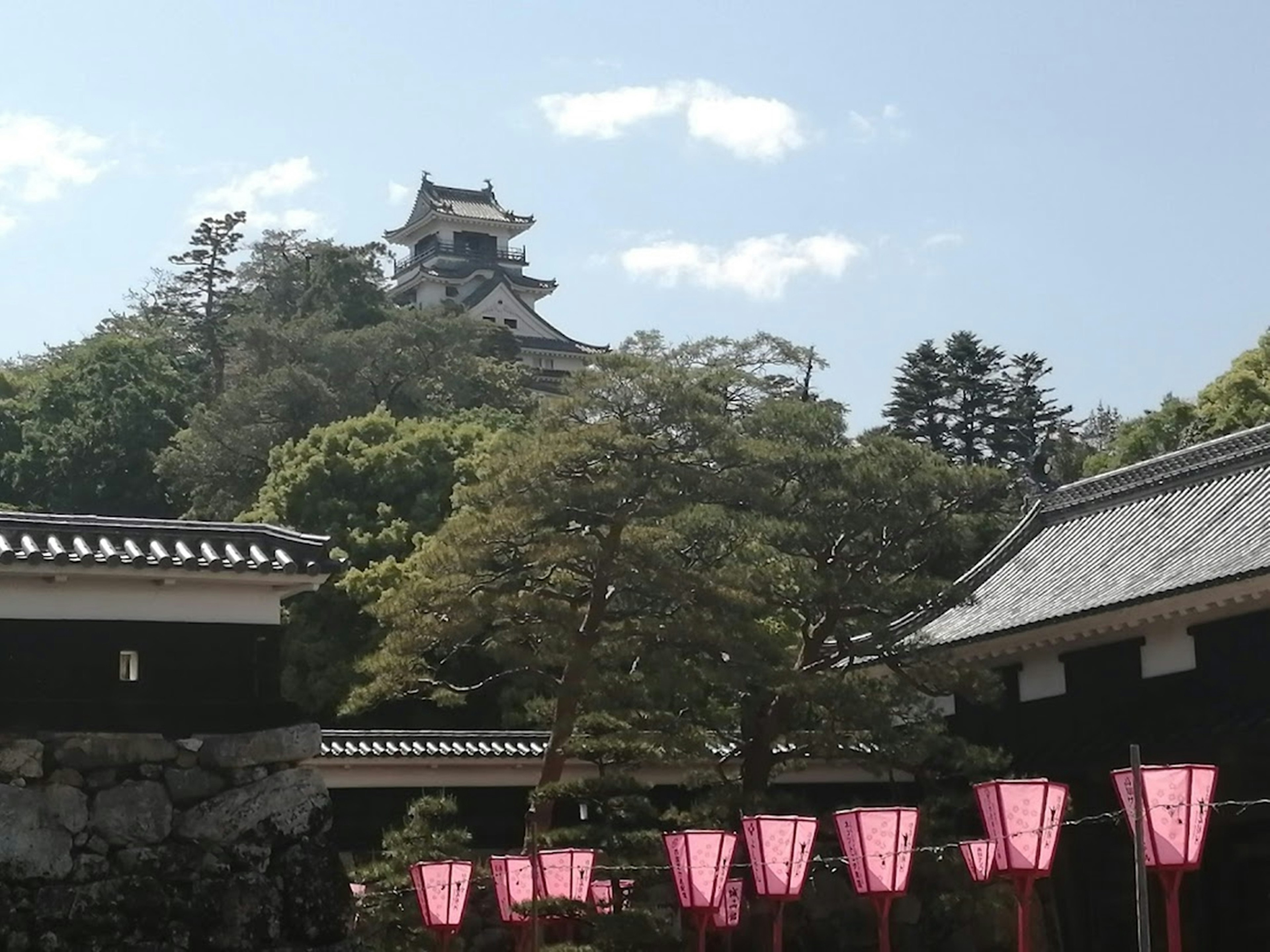 城と緑の木々がある風景に、ピンクの提灯が並ぶ