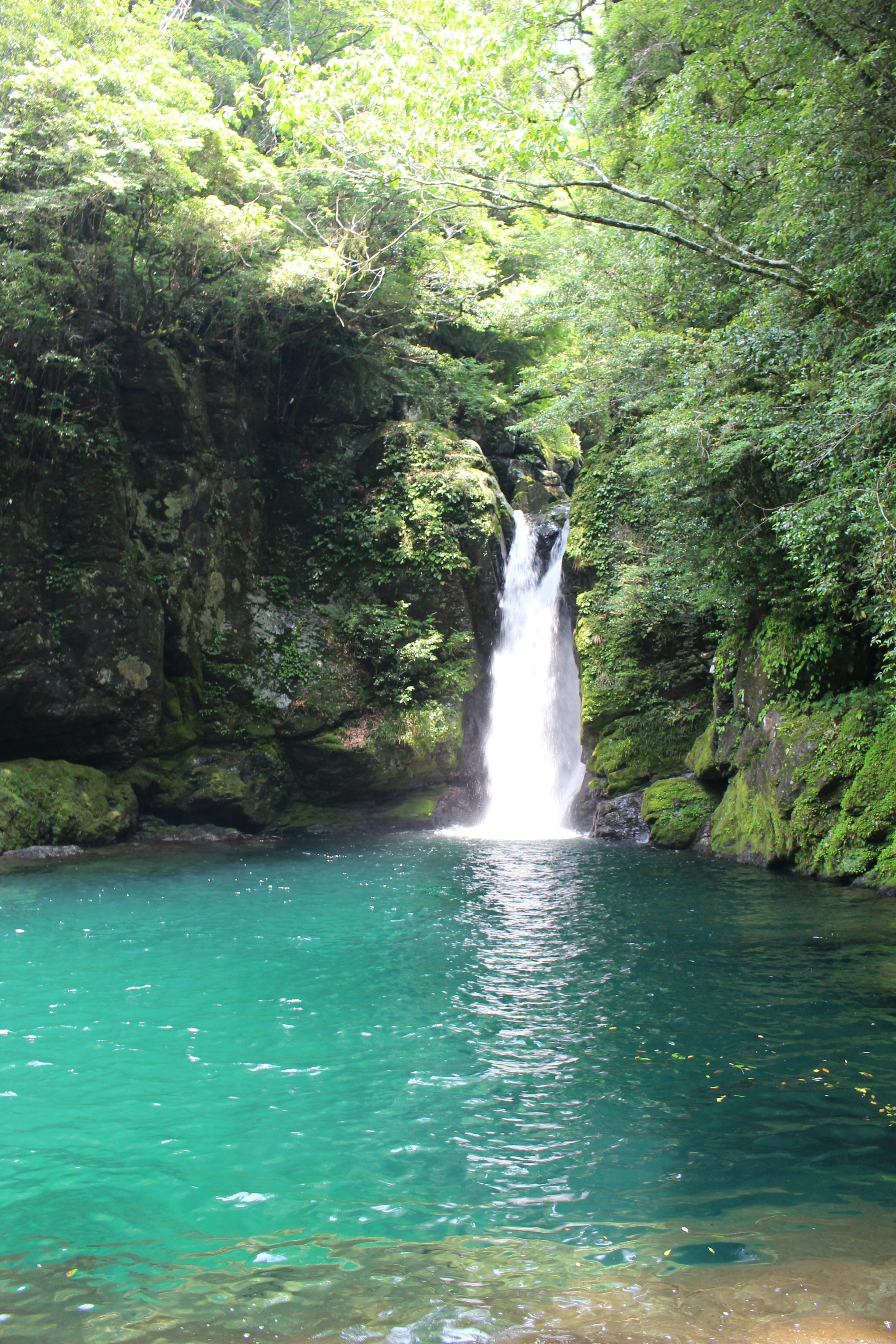 Bellissima cascata circondata da verde con una piscina turchese