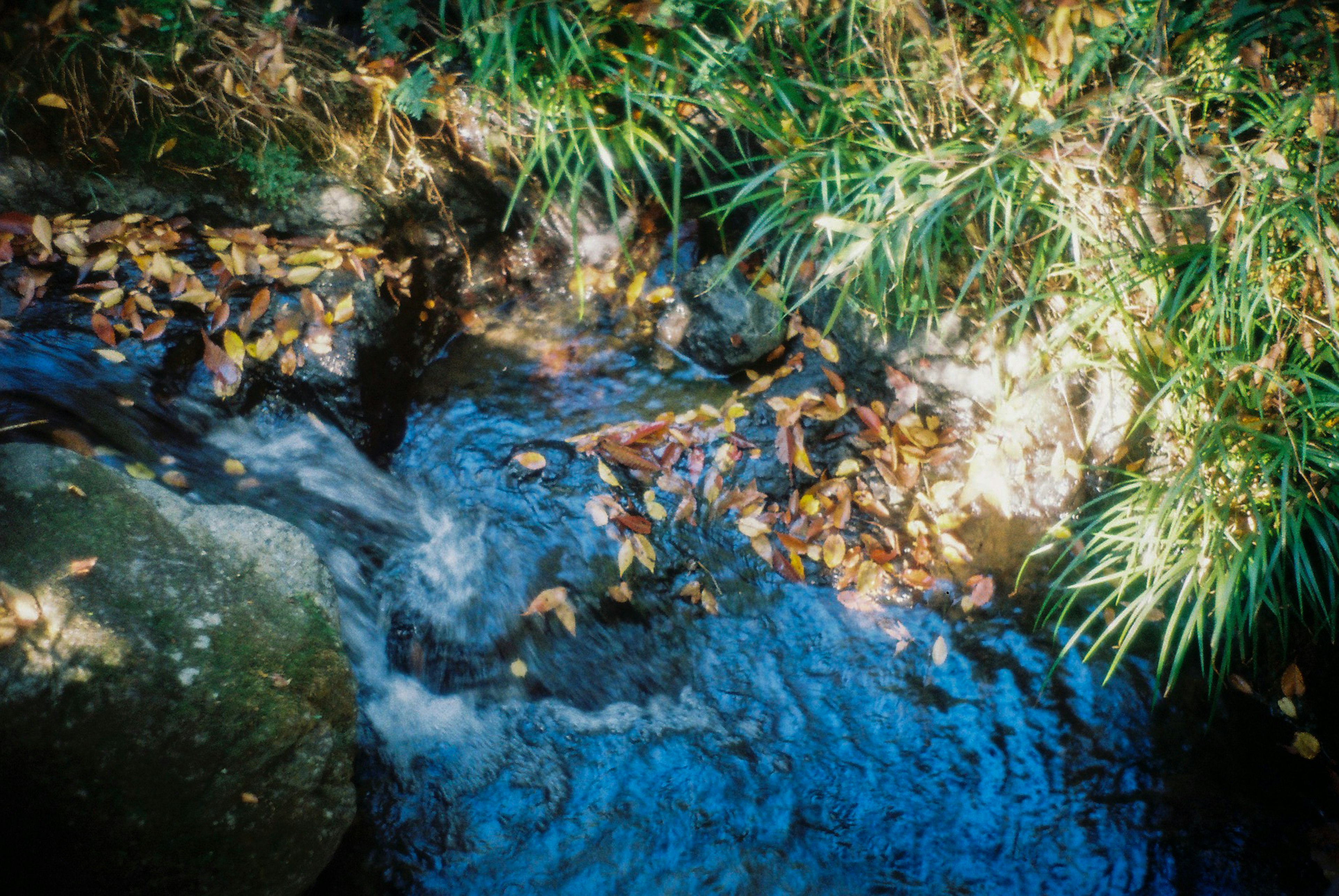 Arroyo fluyendo con hojas de otoño y rocas