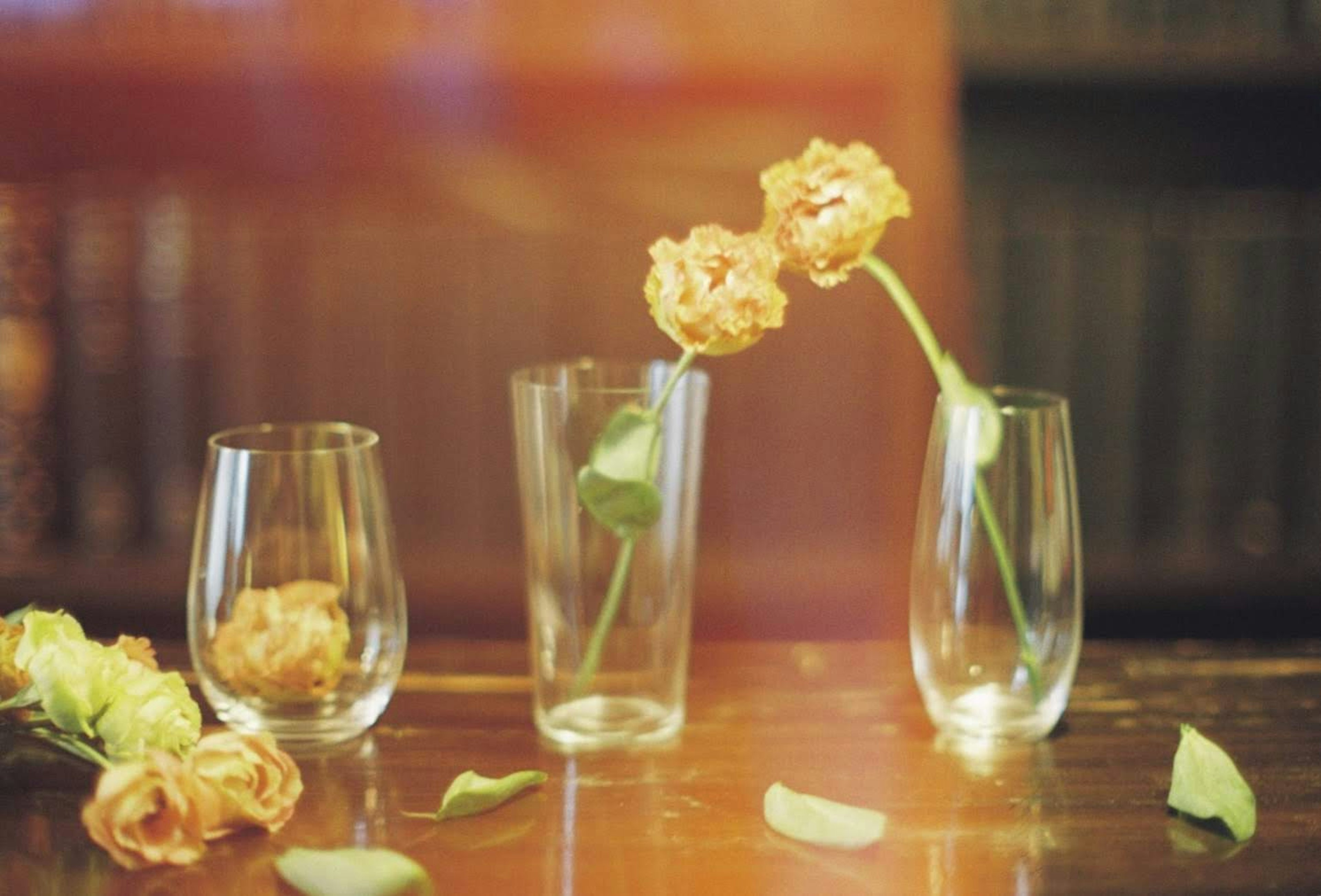 Dried rose flowers and leaves in glass vases on a wooden table