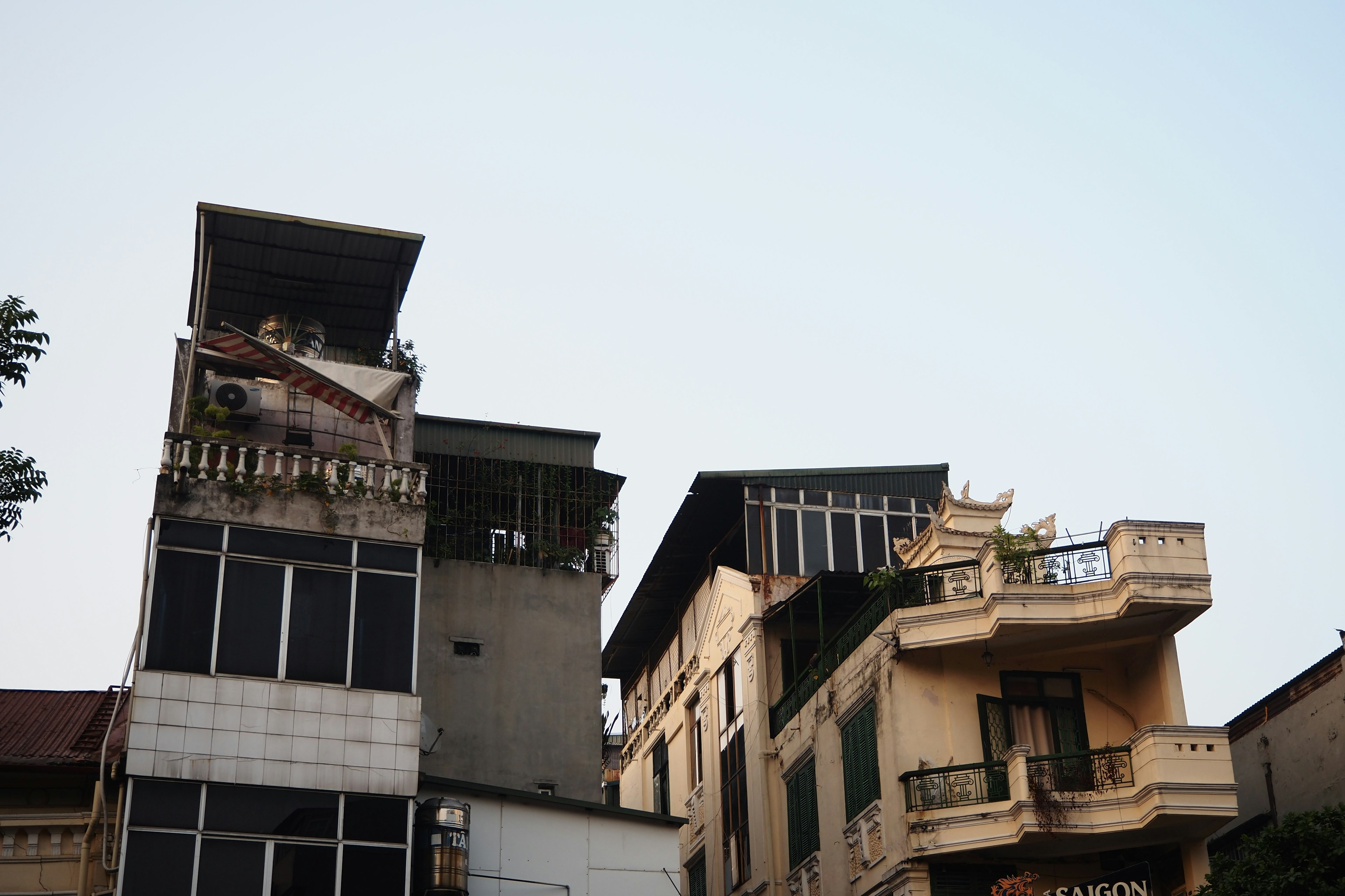 Photo of old buildings with rooftop gardens in an urban setting