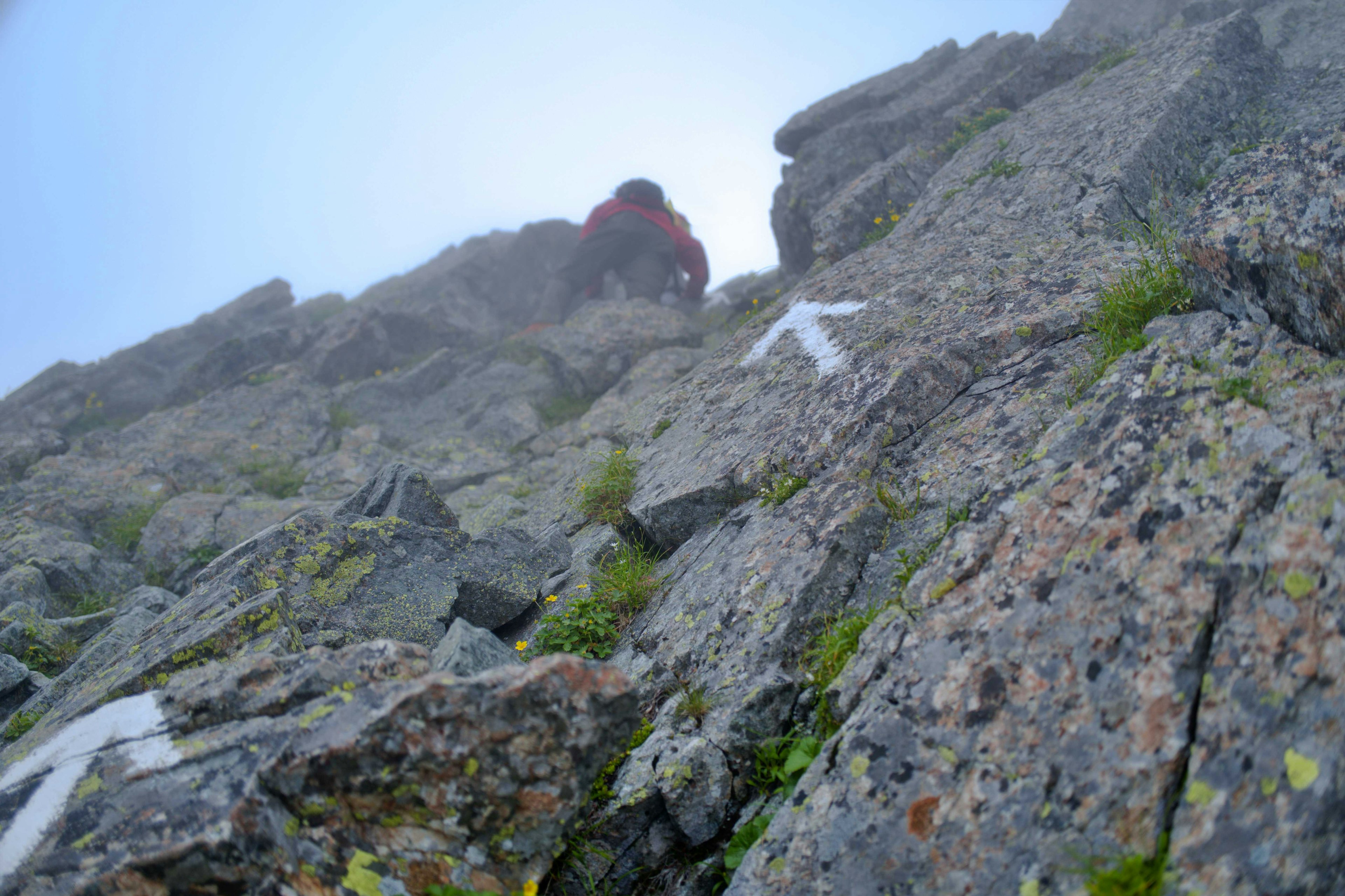 Climber scaling a rocky surface with white arrows indicating the path