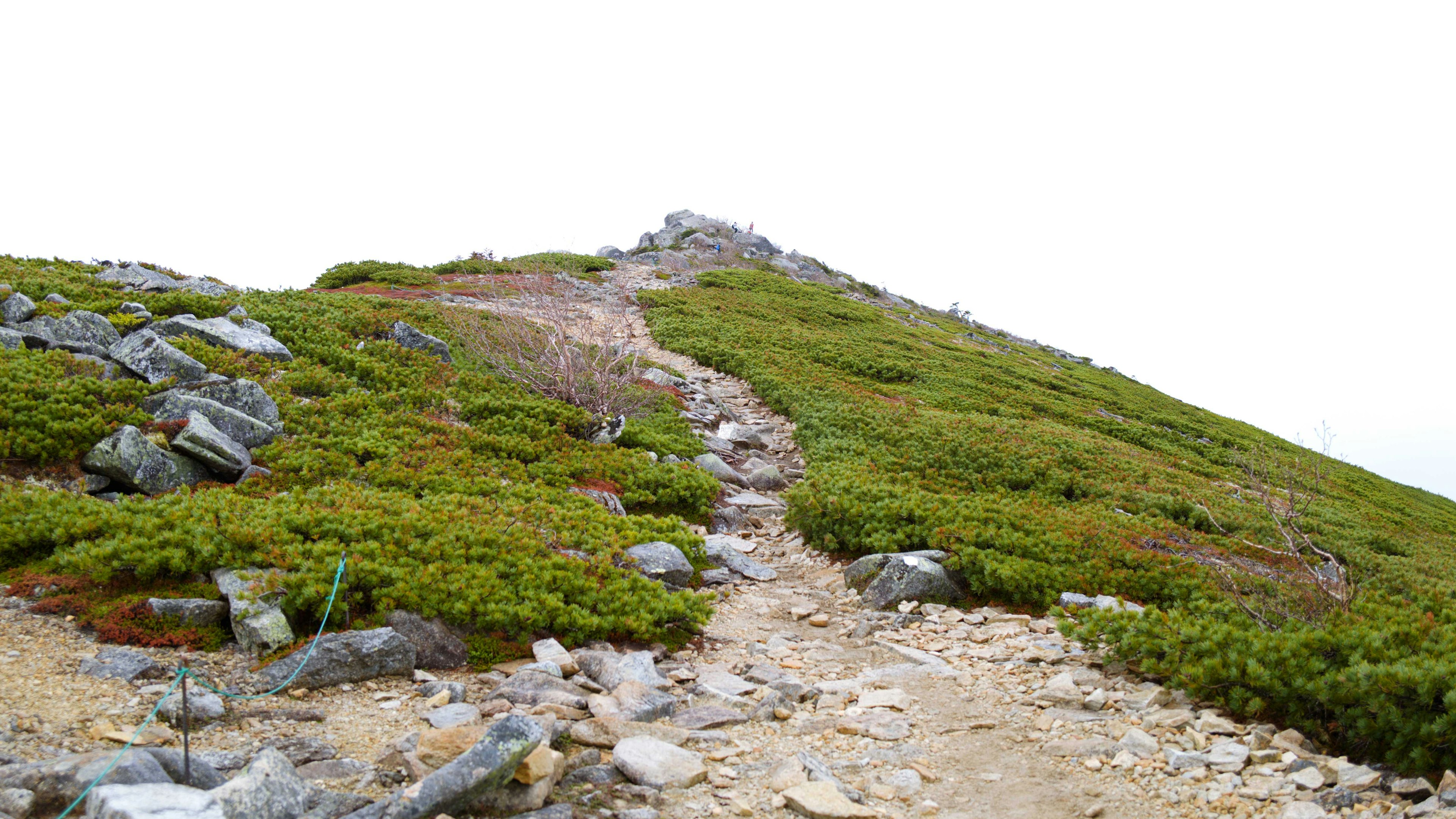 A rugged path leading up a grassy mountain peak