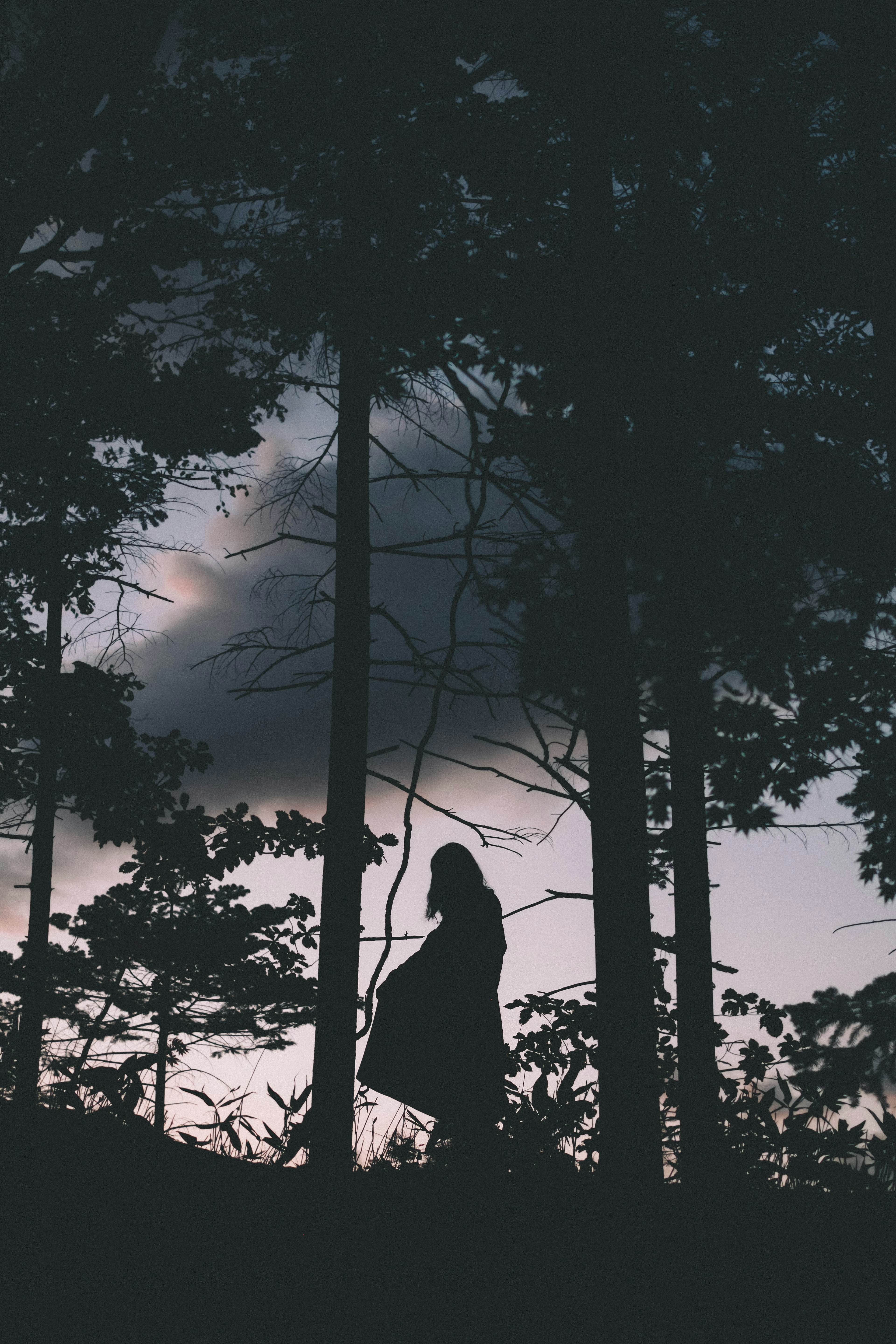 Silhouette of a person standing among trees with a dark sky