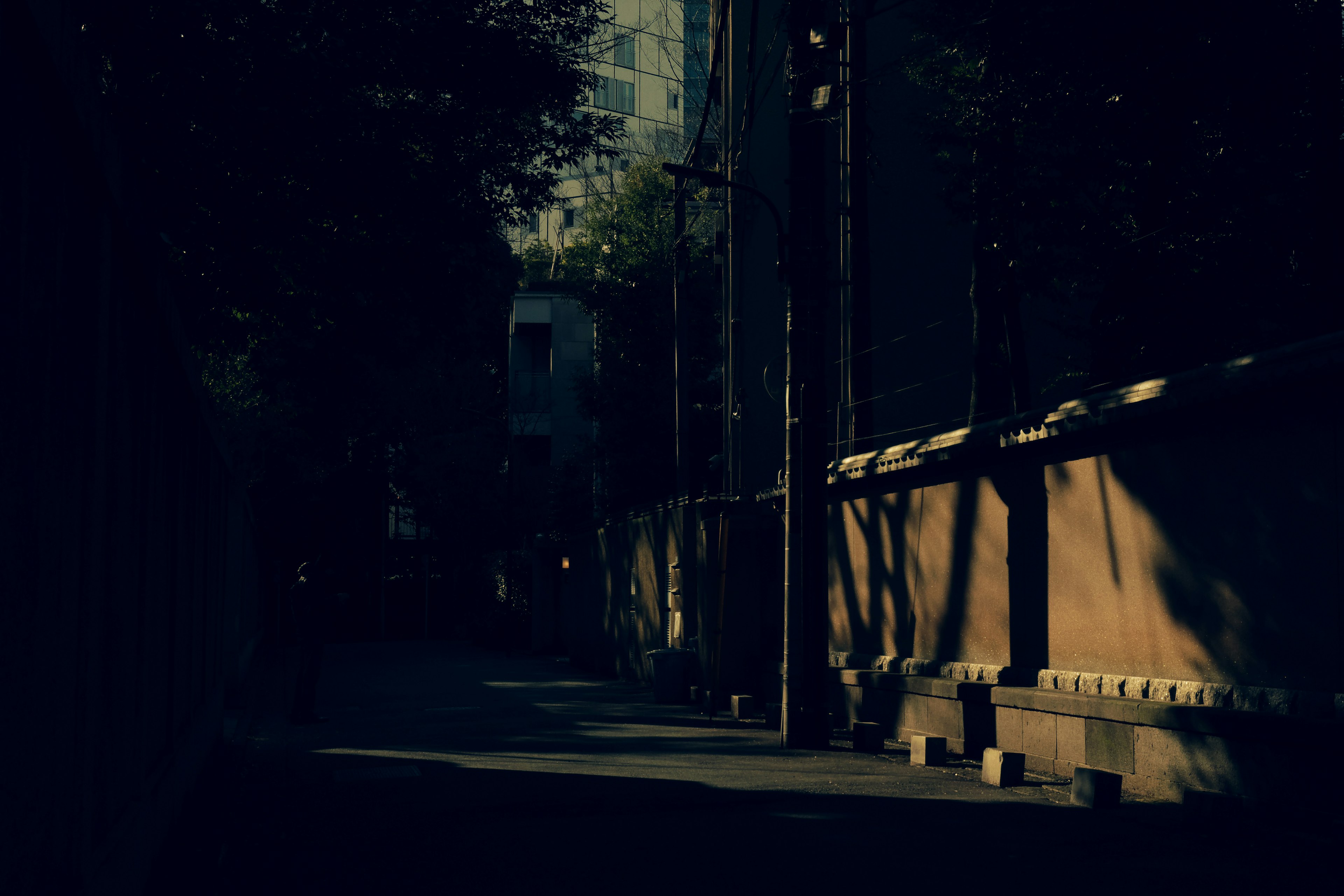 Calle oscura con sombras proyectadas a lo largo de la calle