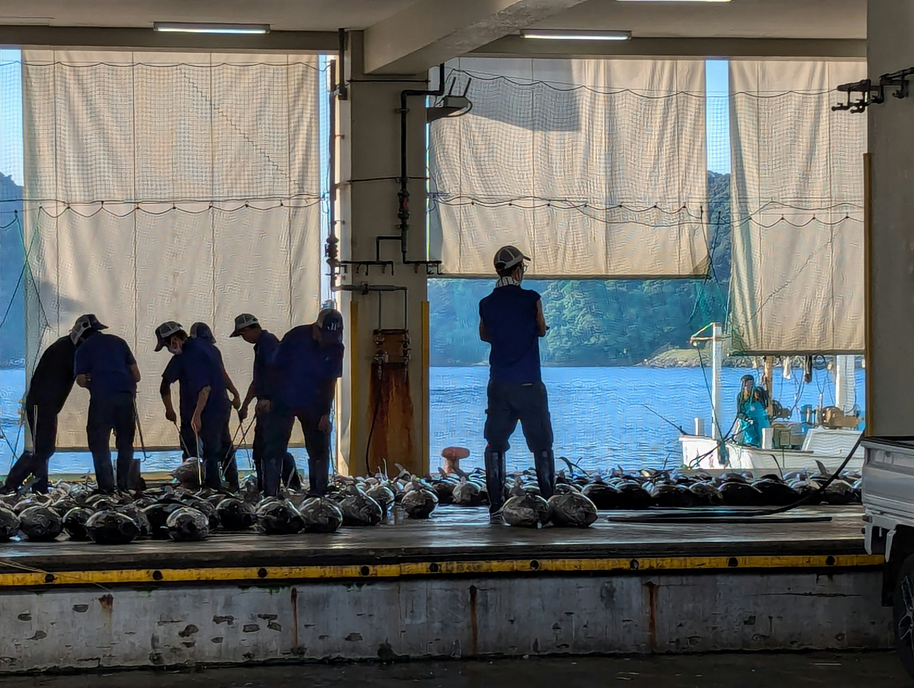 Lavoratori che trattano pesce in un porto di pesca con vista sul mare blu