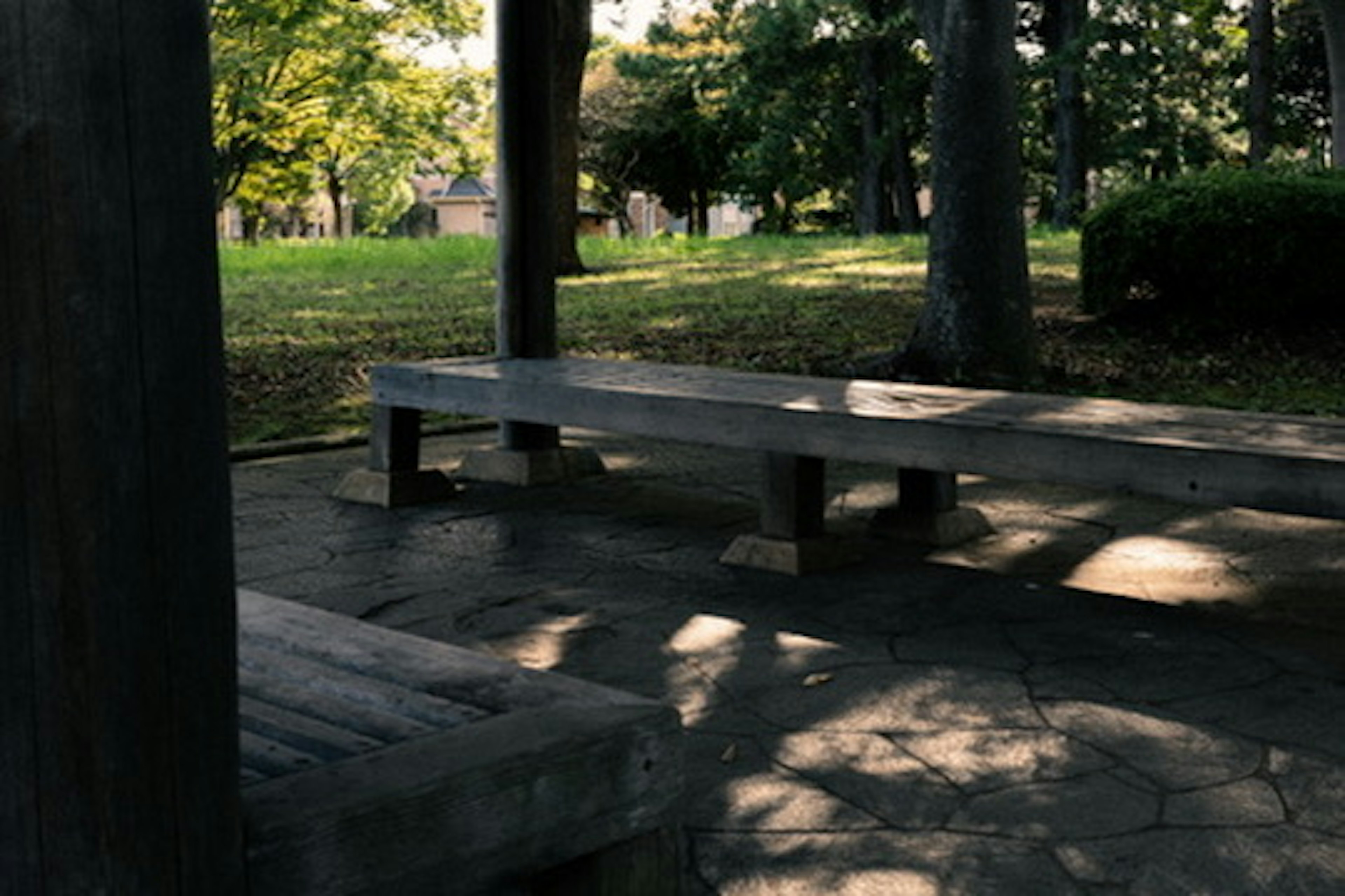 Bancs en bois dans un parc entouré d'arbres verts