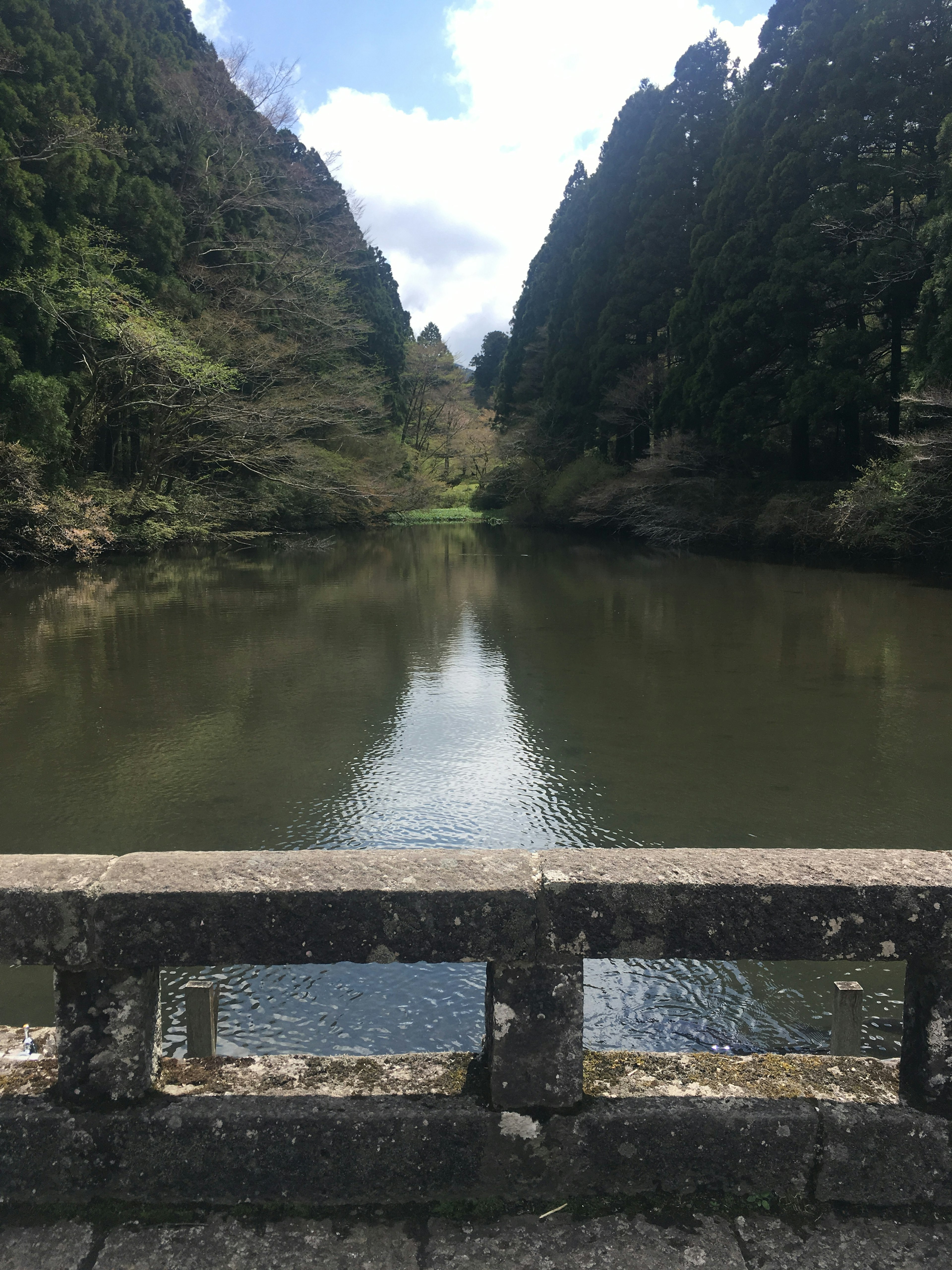 Serene pond surrounded by lush greenery and mountains