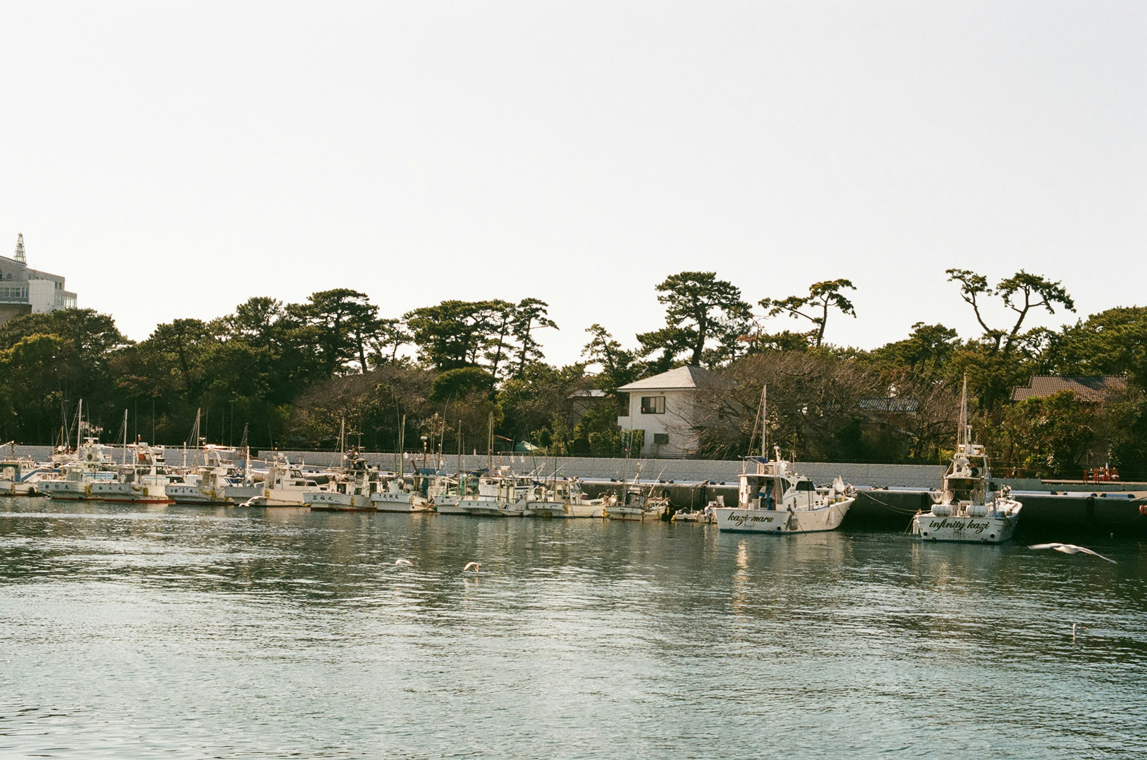 静かな水辺に並ぶ小さなボートと緑豊かな木々の風景