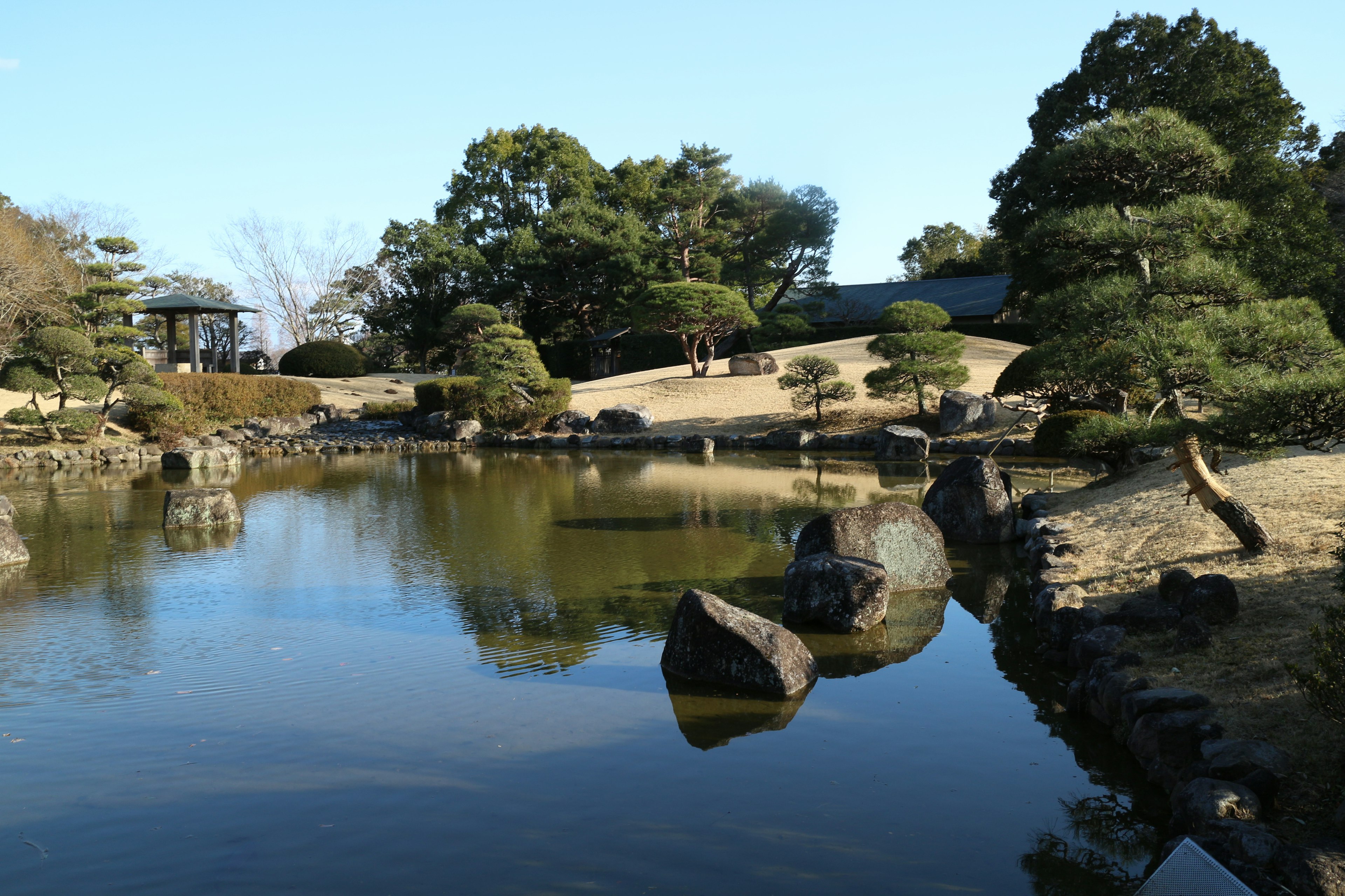 Jardín japonés sereno con un estanque y vegetación exuberante