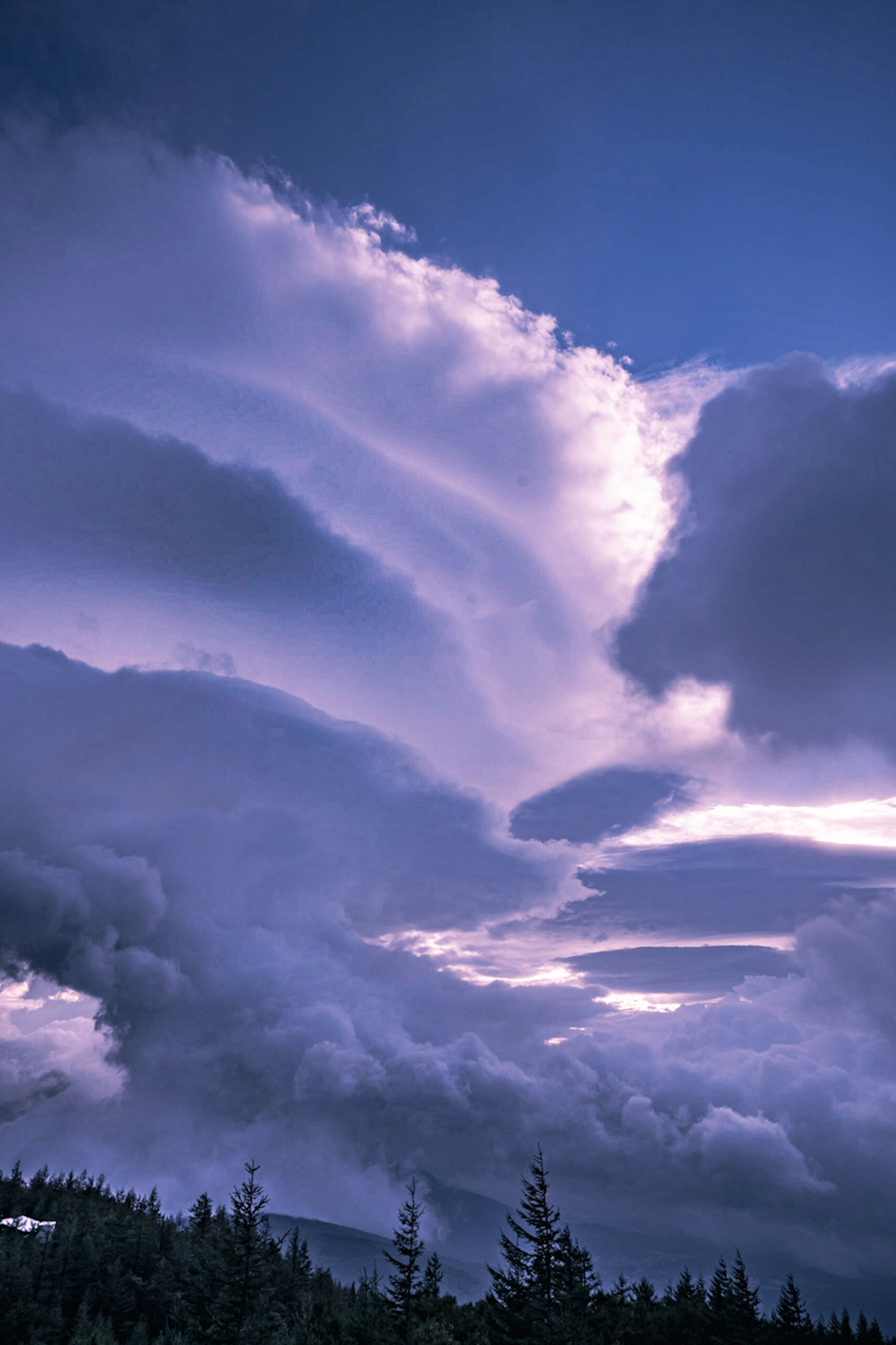 Lila Wolken und Sonnenuntergangshimmel über einer Waldlandschaft