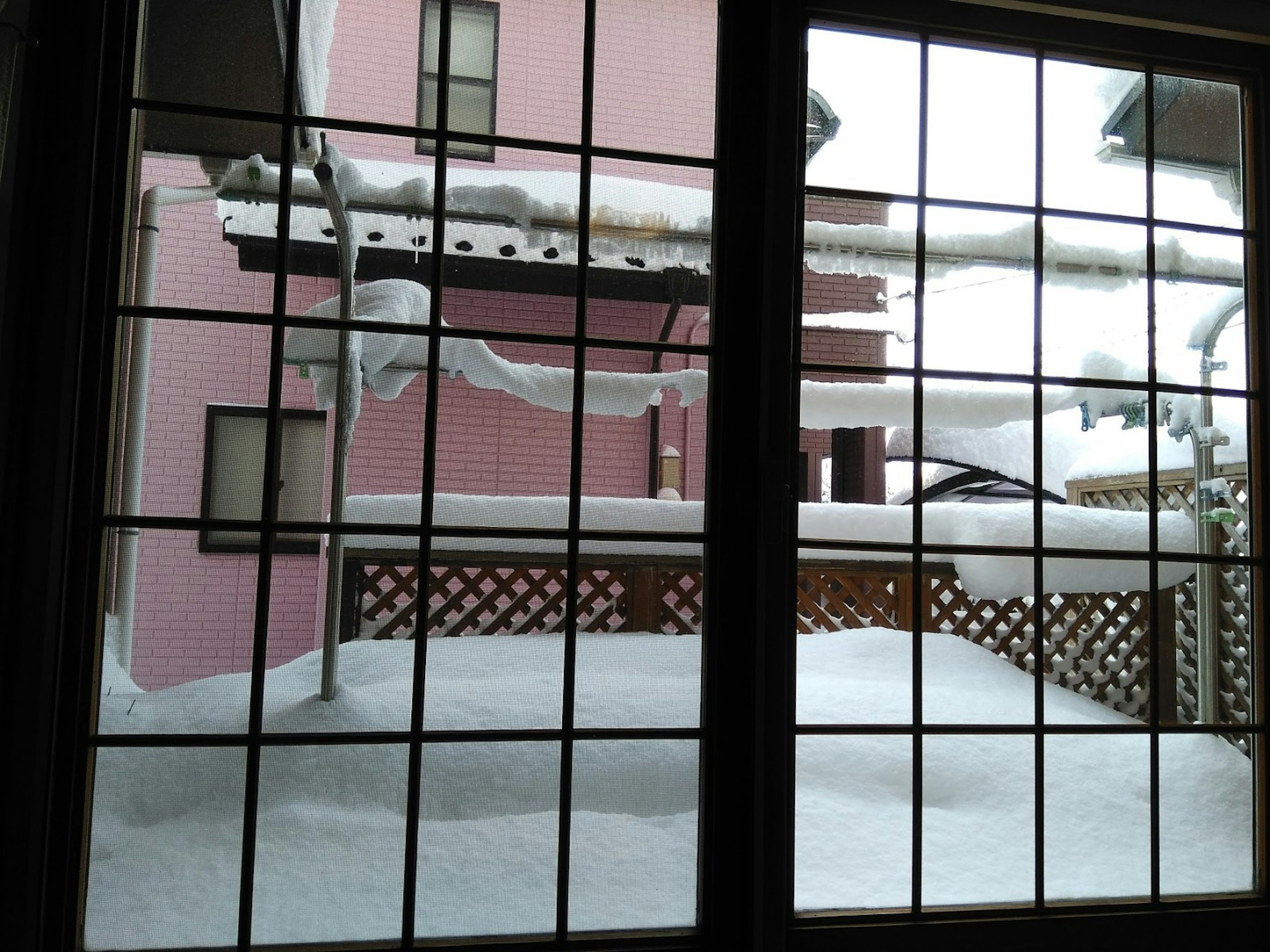 View of a snow-covered garden and pink house through a window