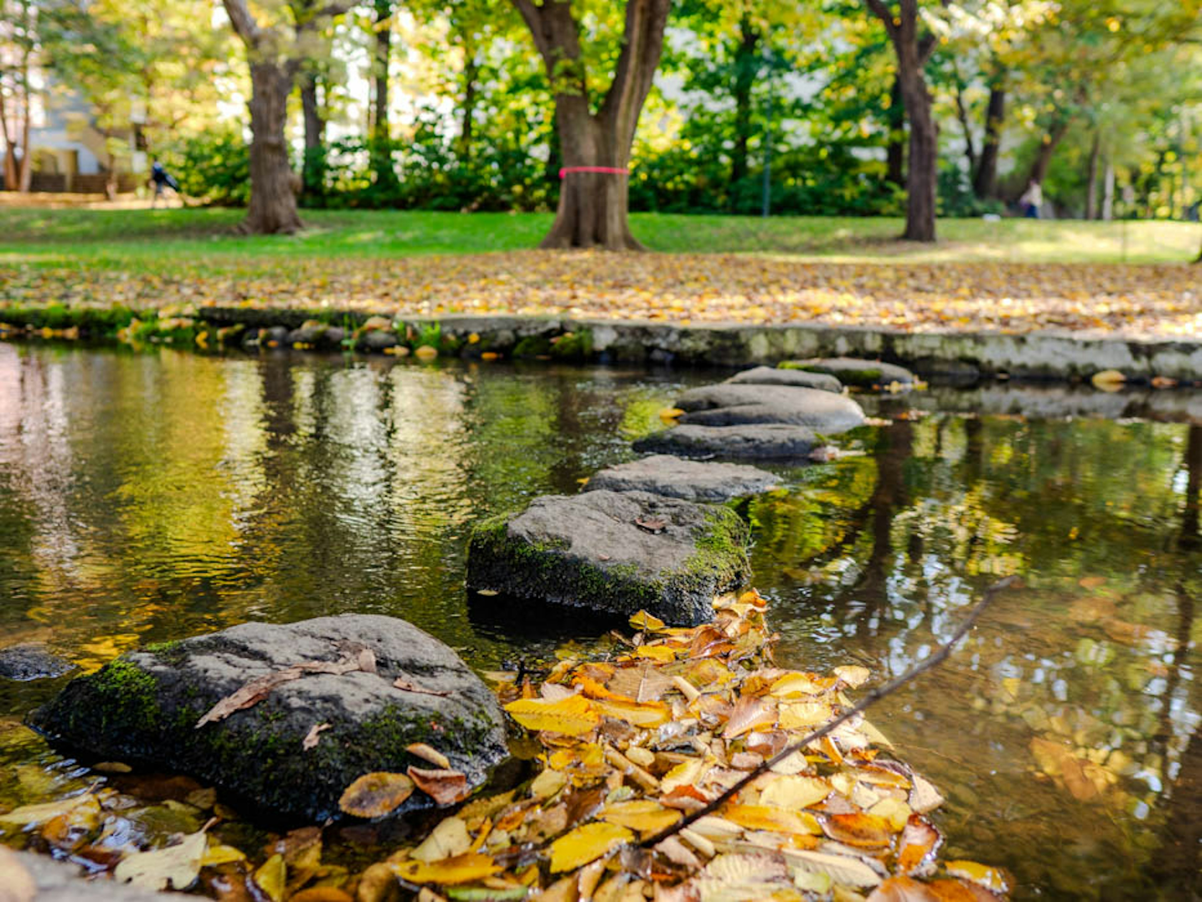 Steinweg über einen Teich mit Herbstblättern in einem Park