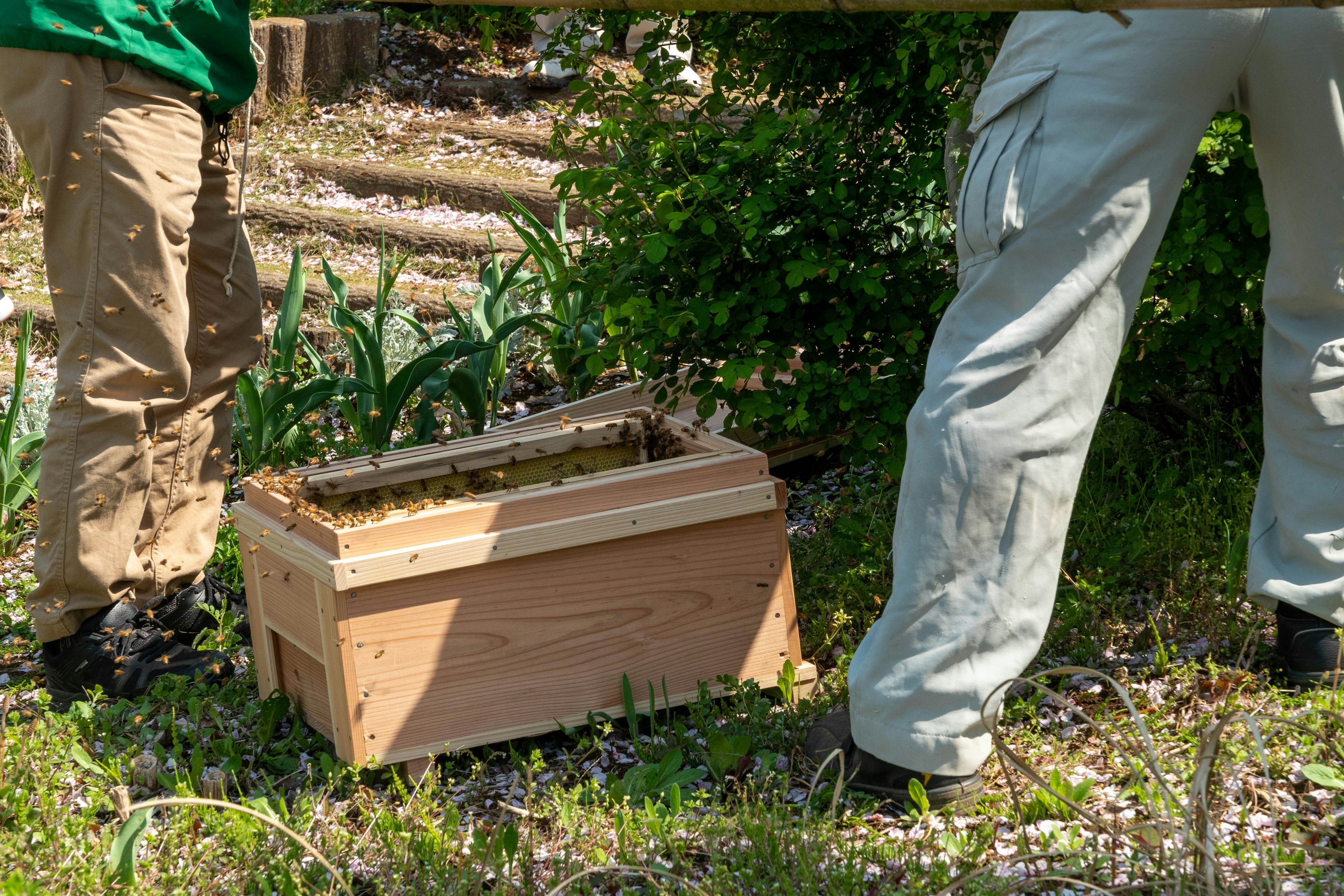 Two people standing near a beehive in a garden setting