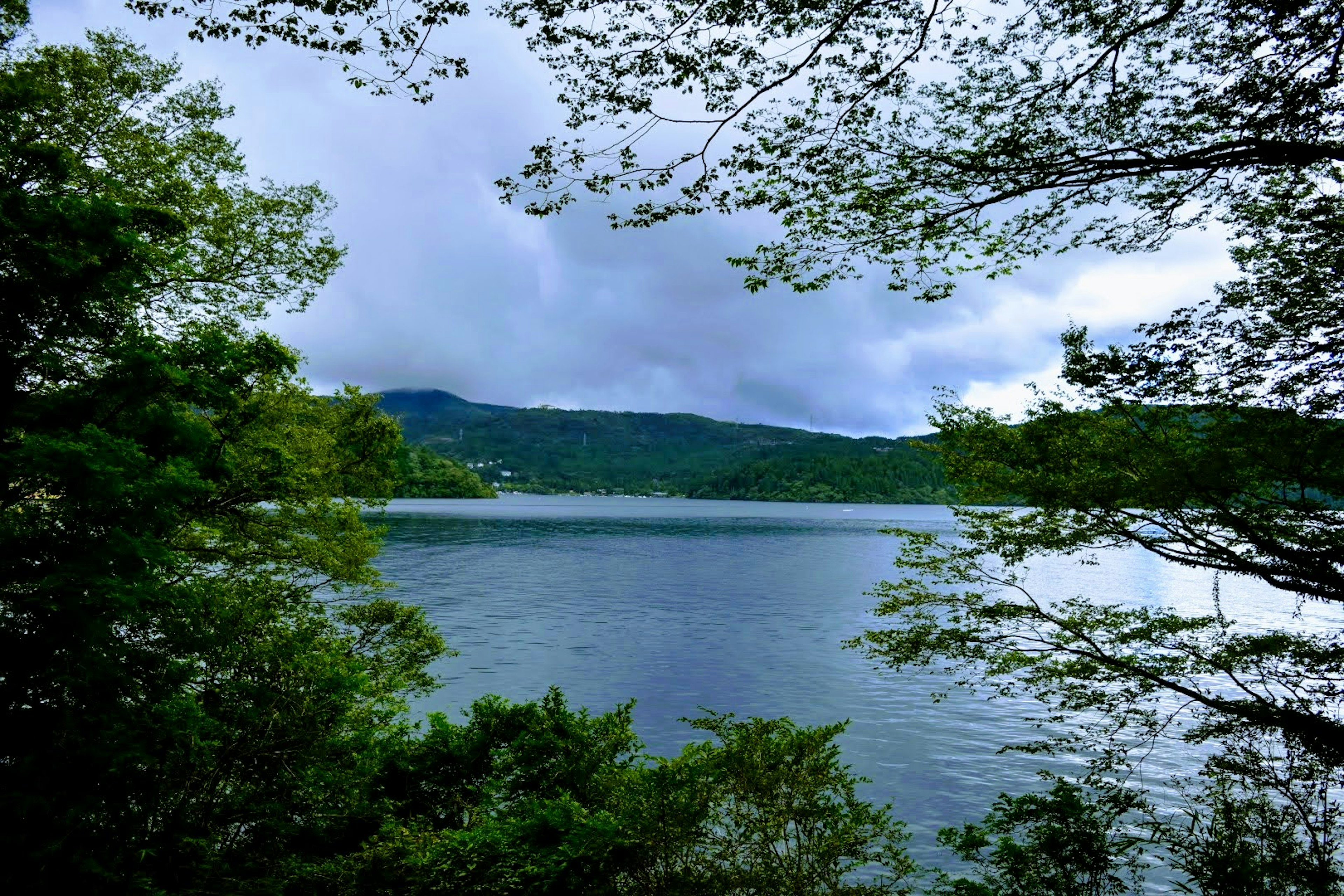 湖と山々が見える緑豊かな風景