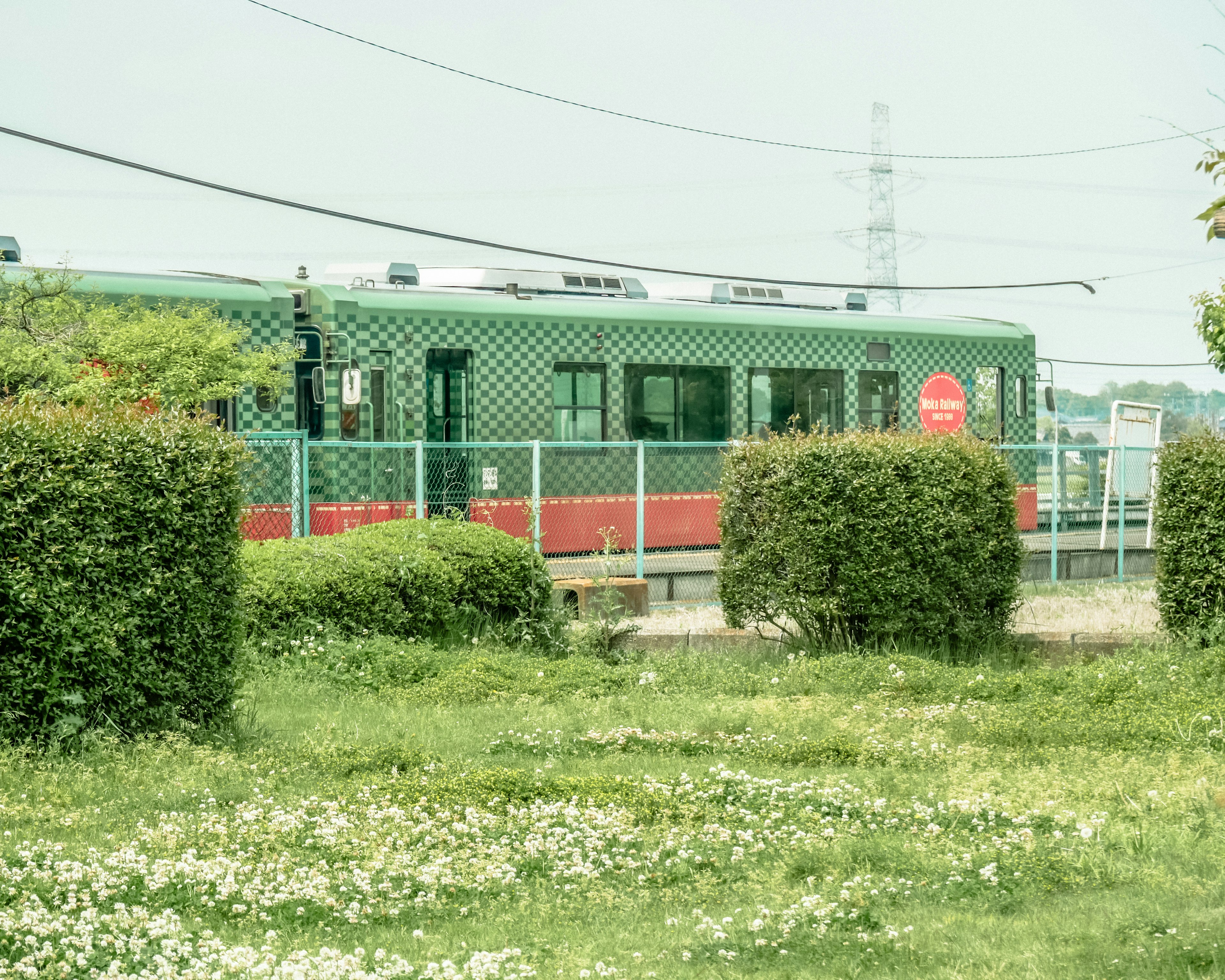 緑色の電車がフェンスの近くに停車している風景