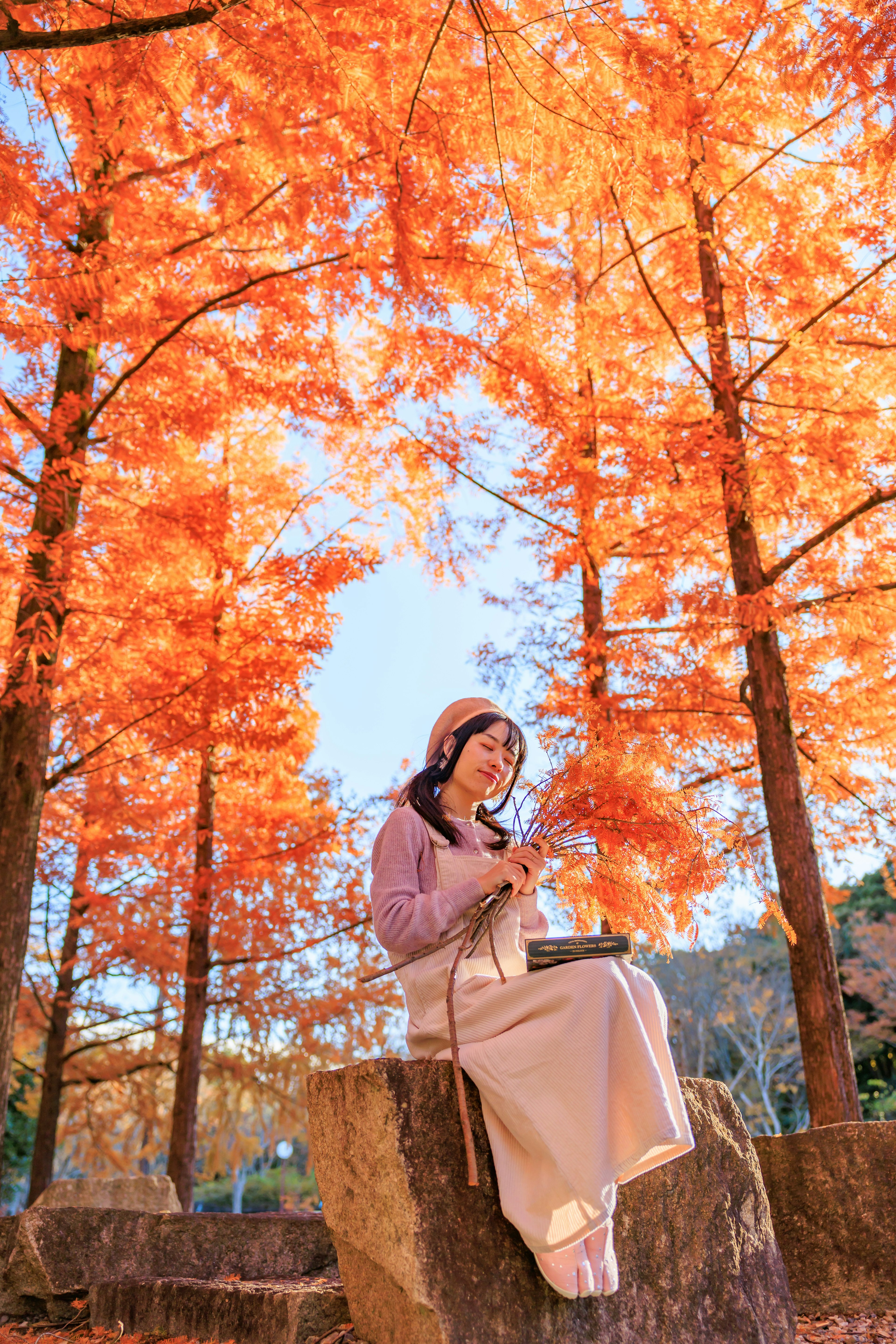 秋の紅葉の中で座っている女性が本を読んでいる