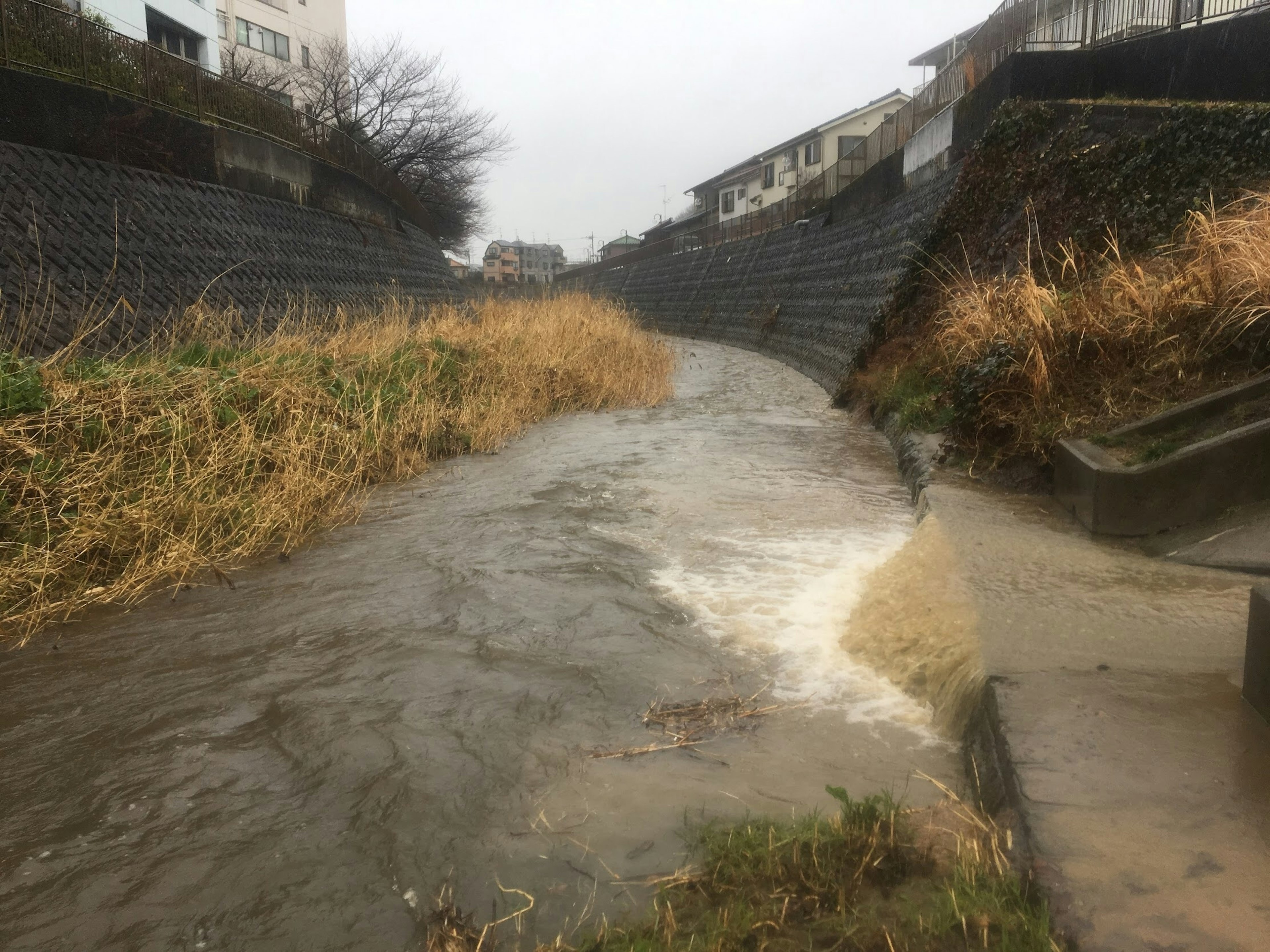 Un torrente che scorre sotto la pioggia con rive erbose