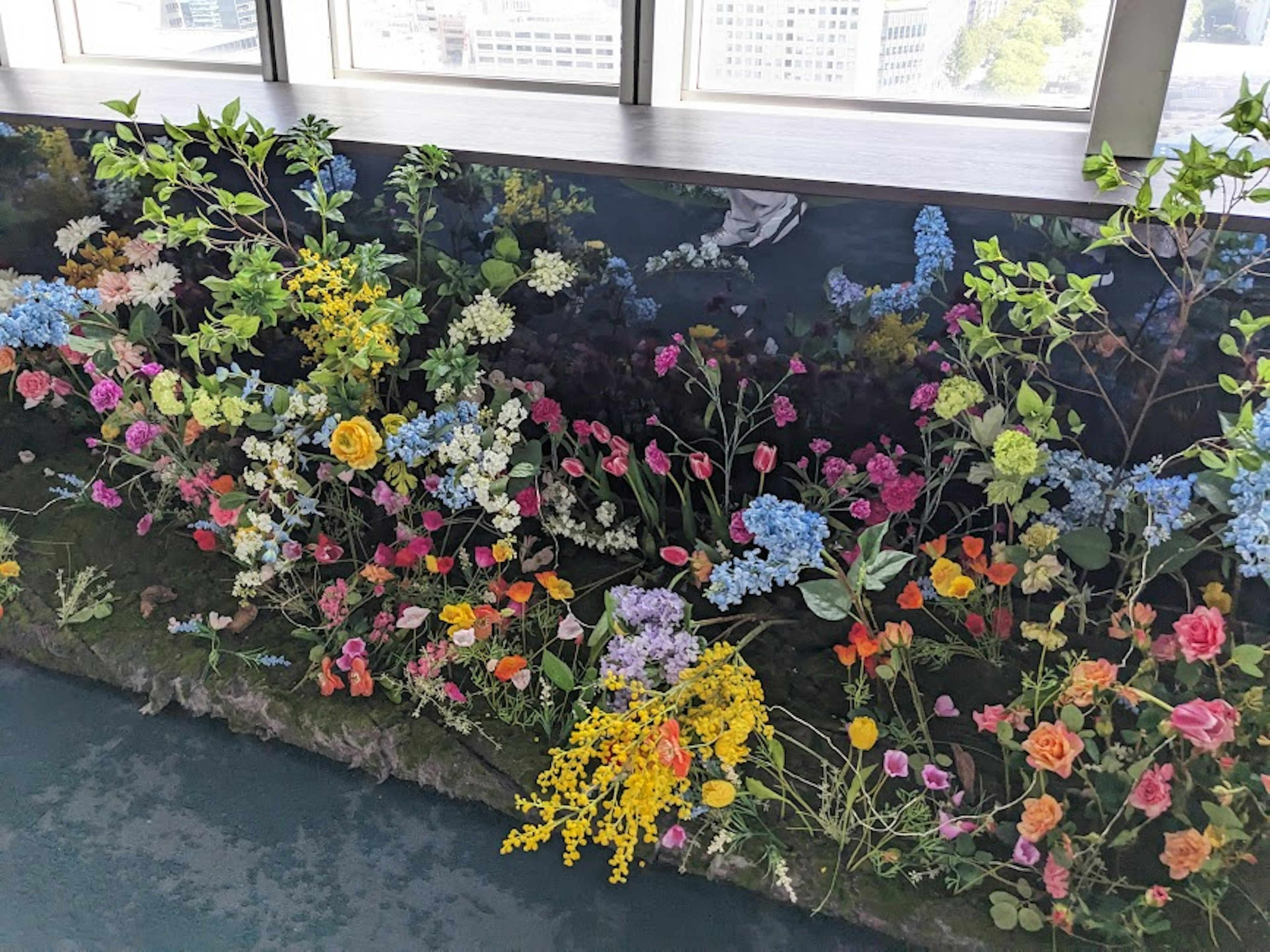 Fiori colorati e piante verdi disposte vicino alla finestra