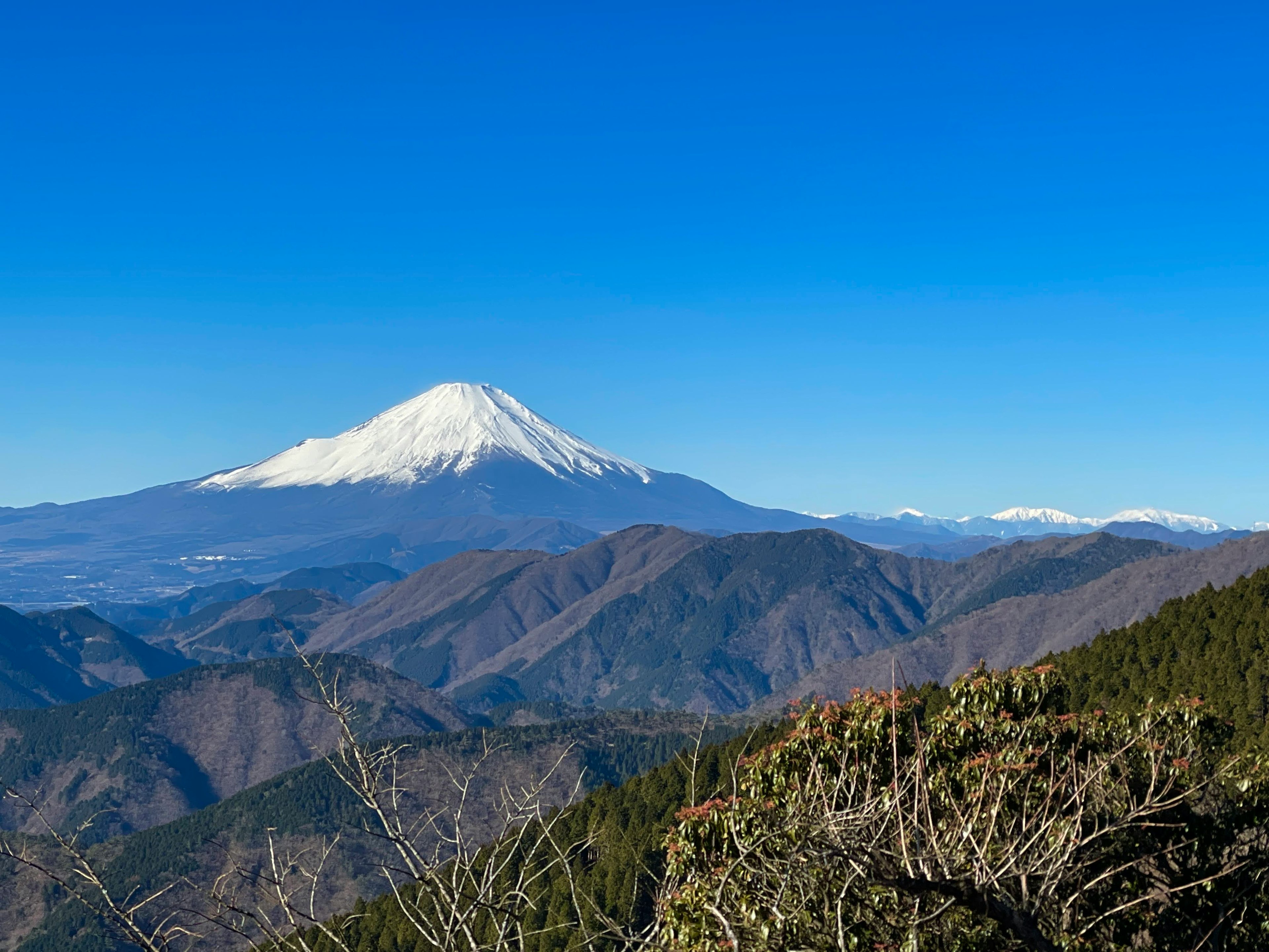 美しい富士山の雪を頂いた姿が広がる青空の下の風景