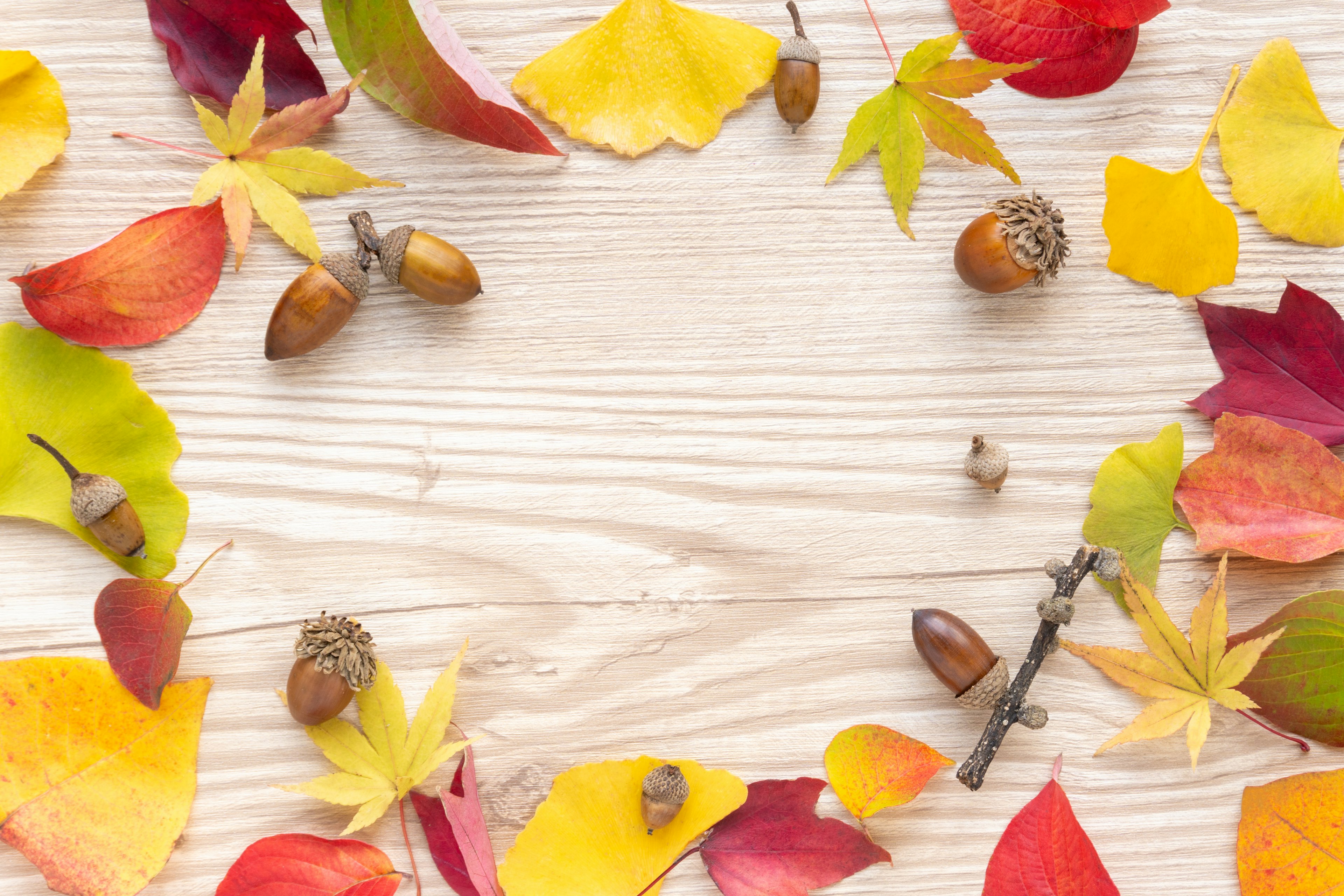 Hojas de otoño coloridas y bellotas dispuestas sobre una mesa de madera