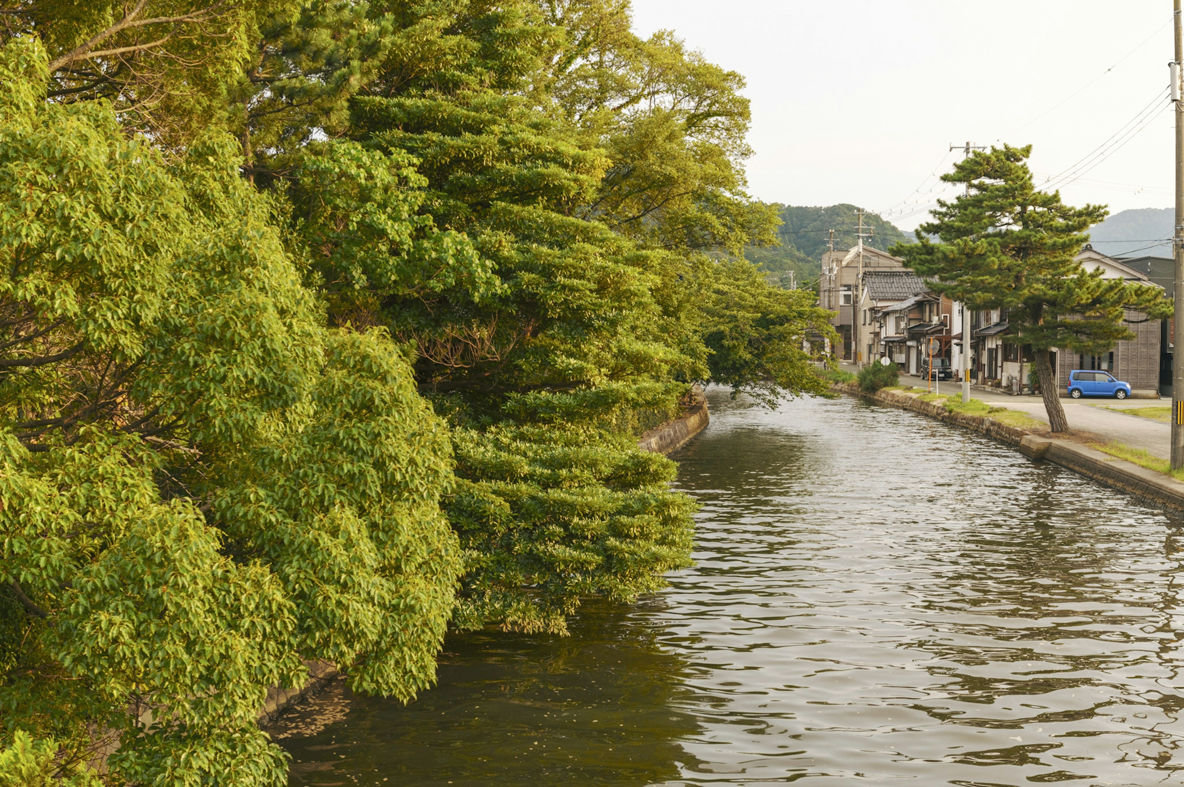 Scenic view of a calm river lined with lush greenery and traditional buildings