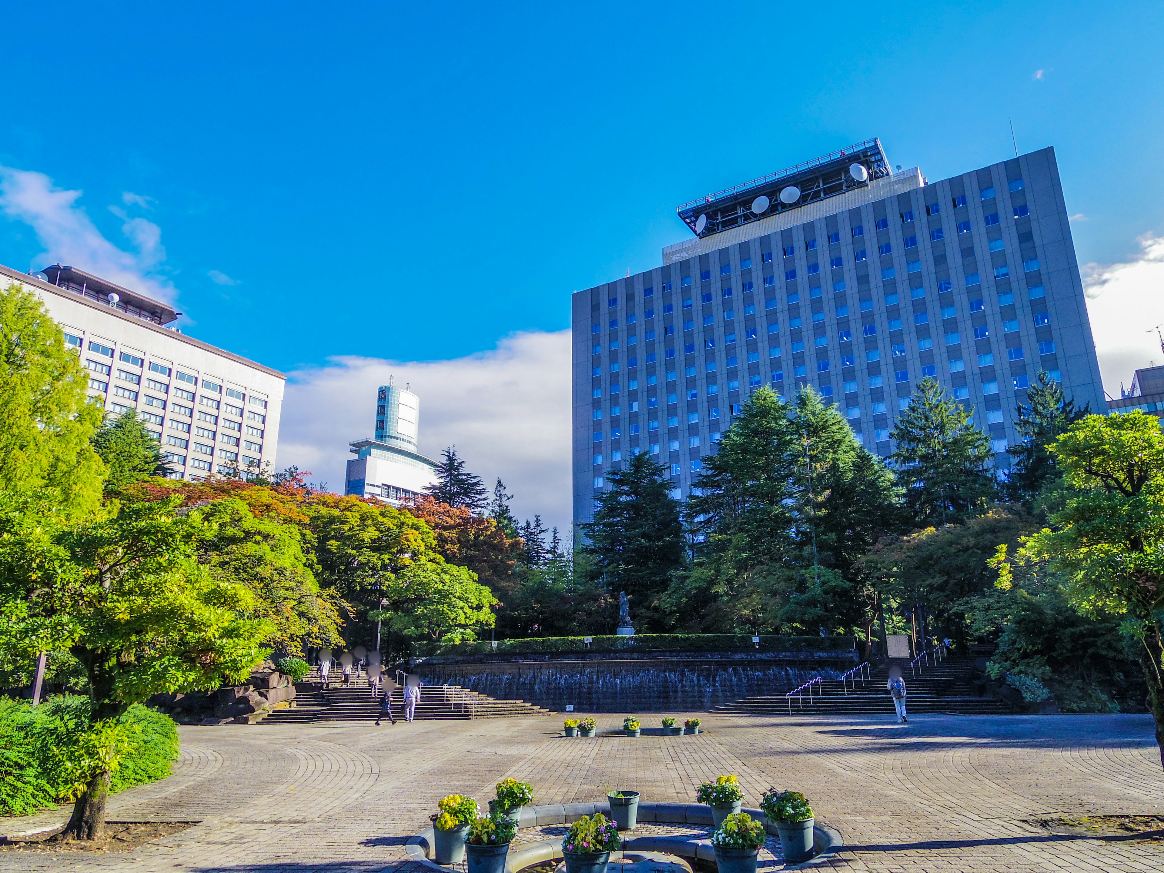 View of a lush park with tall buildings in the background