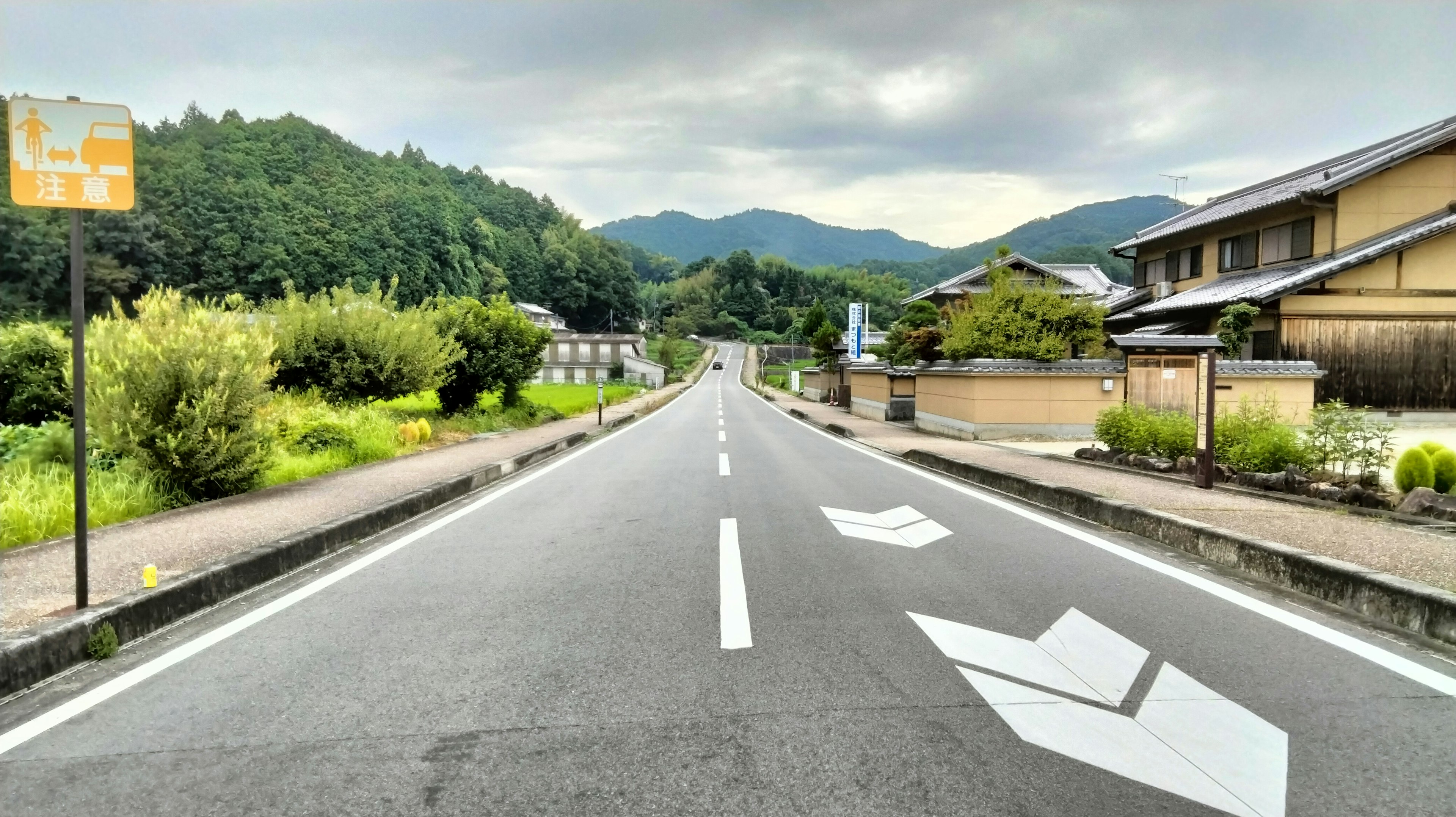 Paesaggio rurale tranquillo con una strada con segnali bianchi e montagne