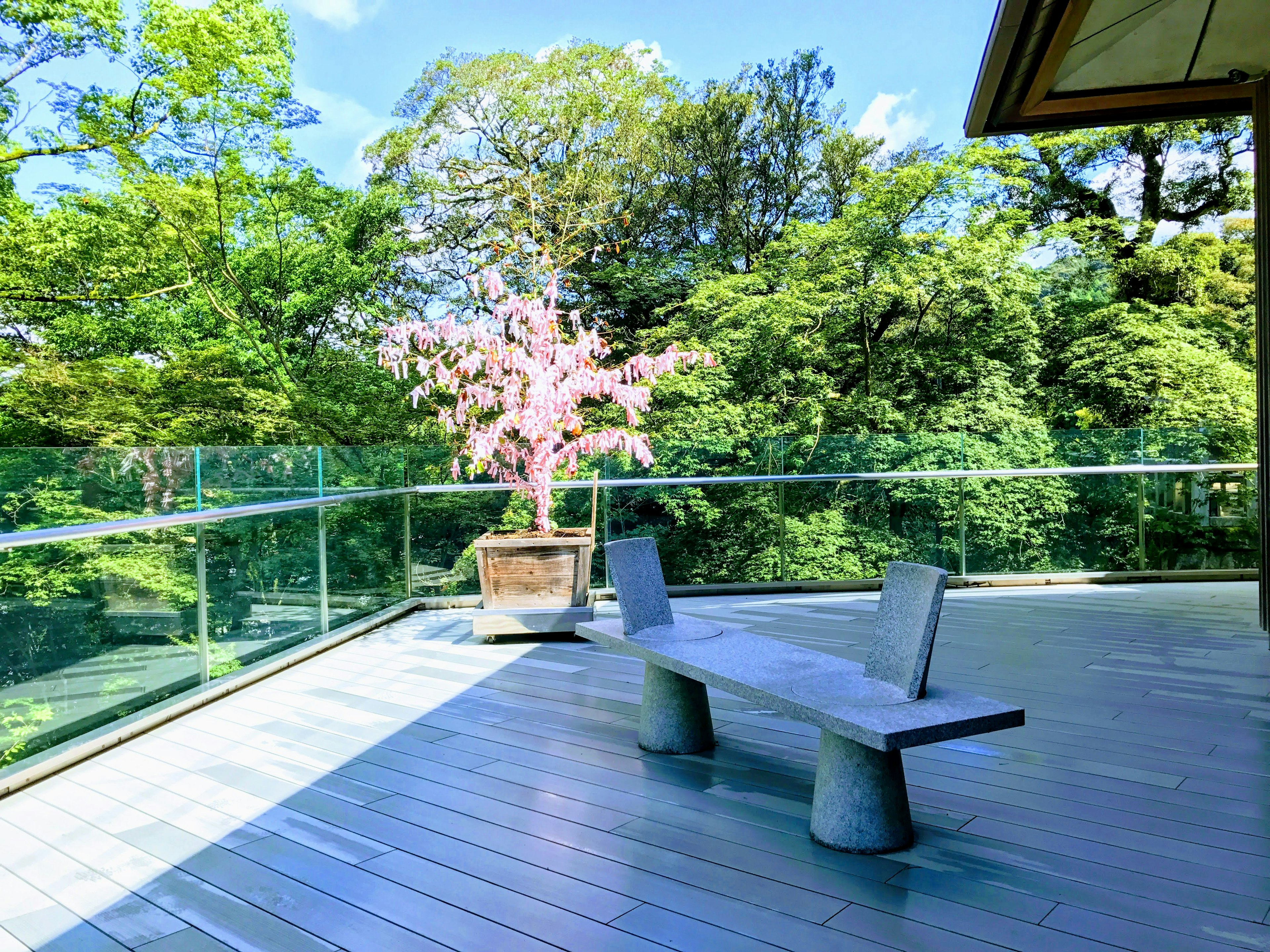 Banca moderna en un balcón con vista a un hermoso jardín con un cerezo en flor