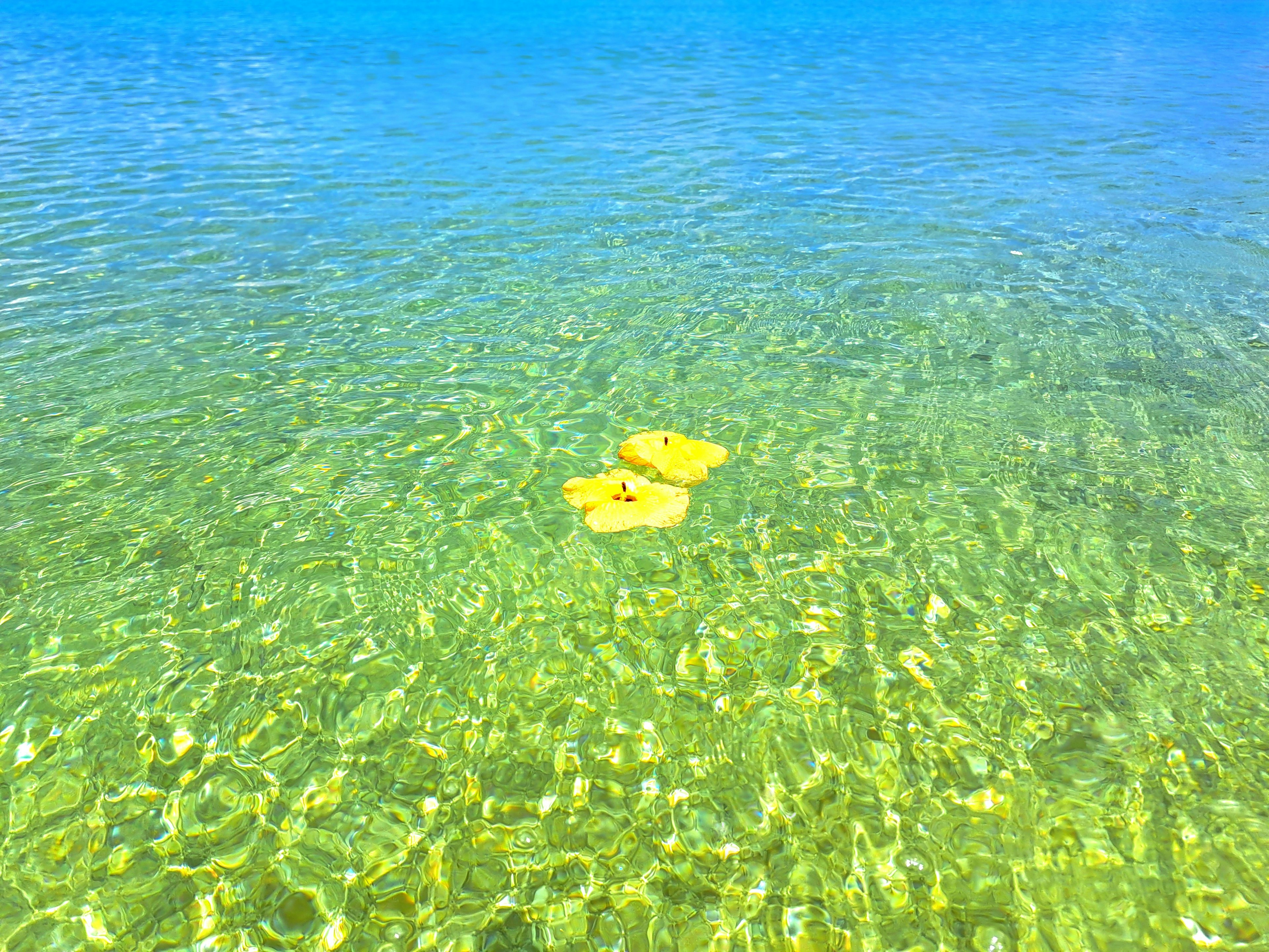 Gonfiabili gialli nell'acqua limpida