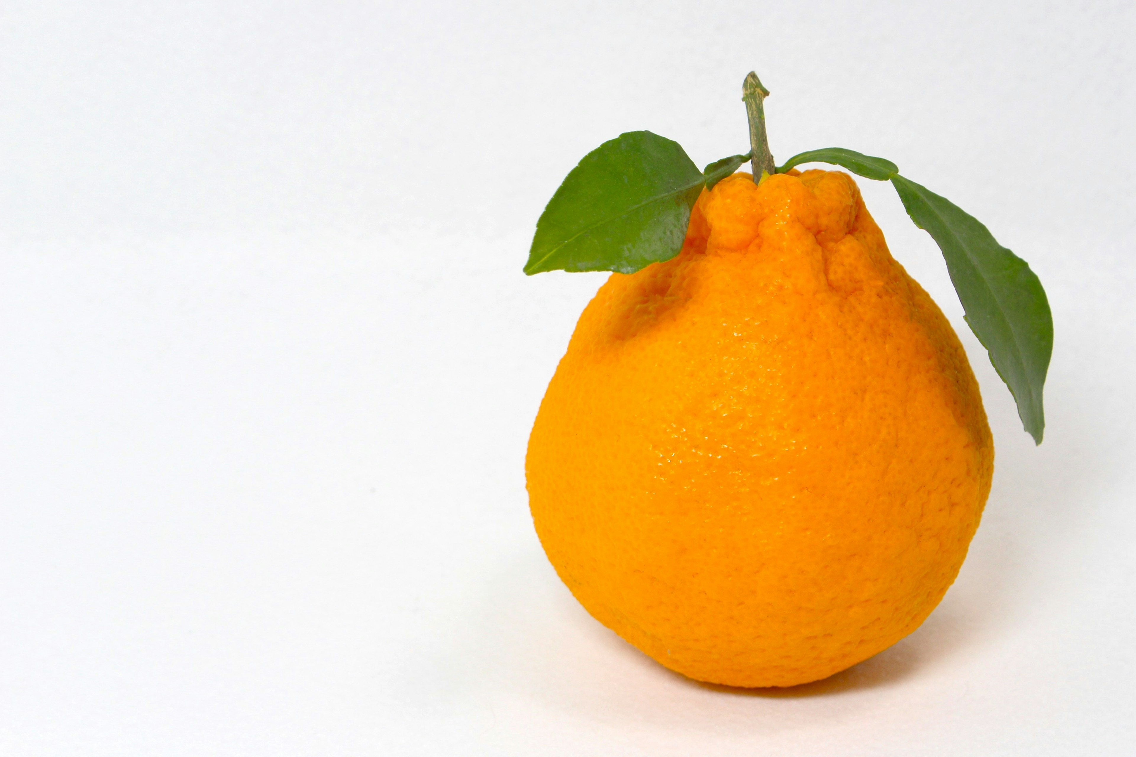 A round orange fruit with green leaves attached