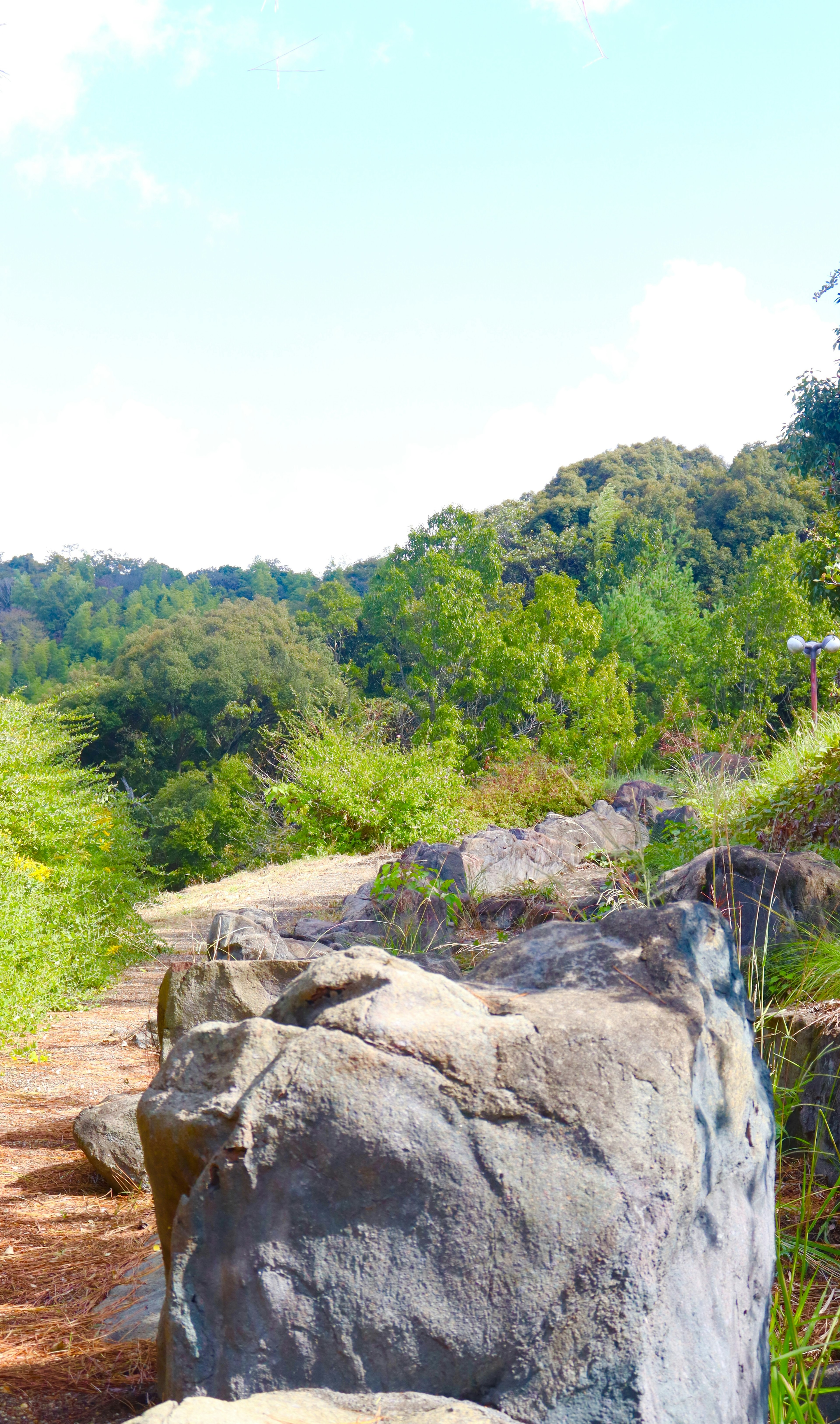 Large rock surrounded by green trees and a blue sky