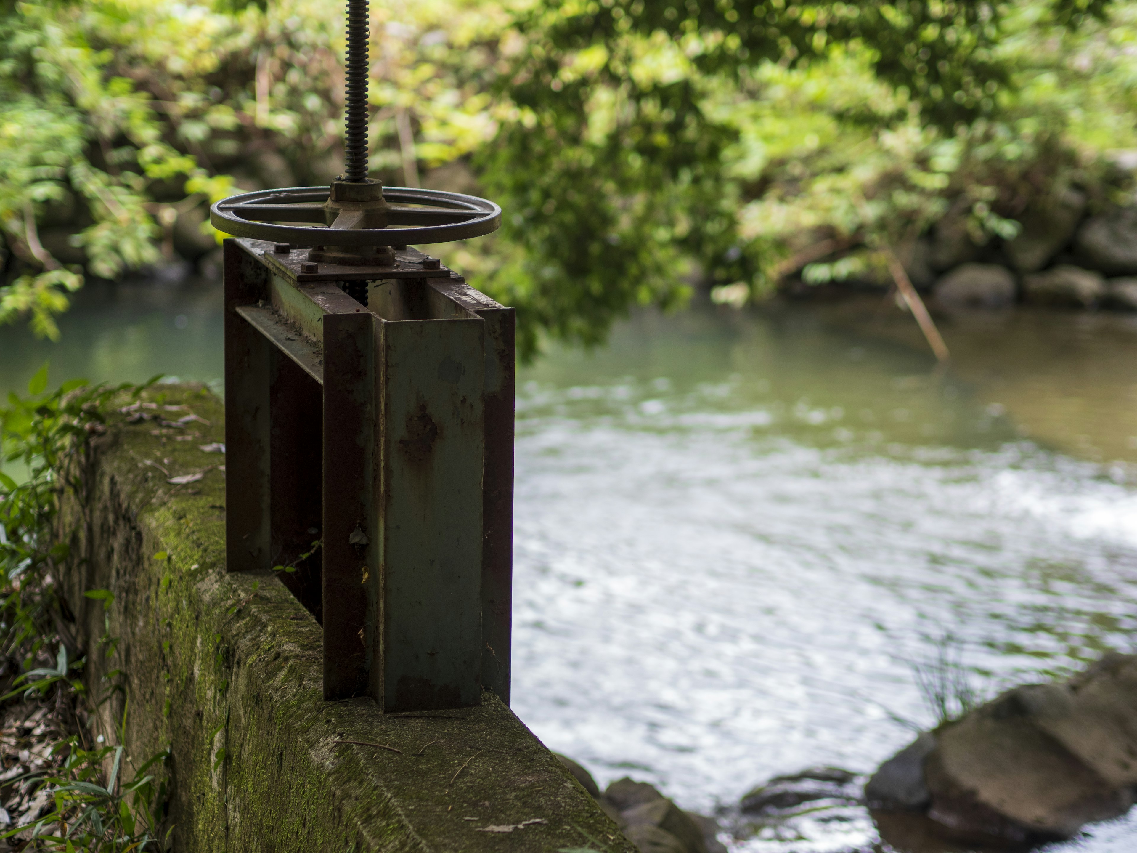 Dispositivo metallico in riva al fiume con alberi verdi