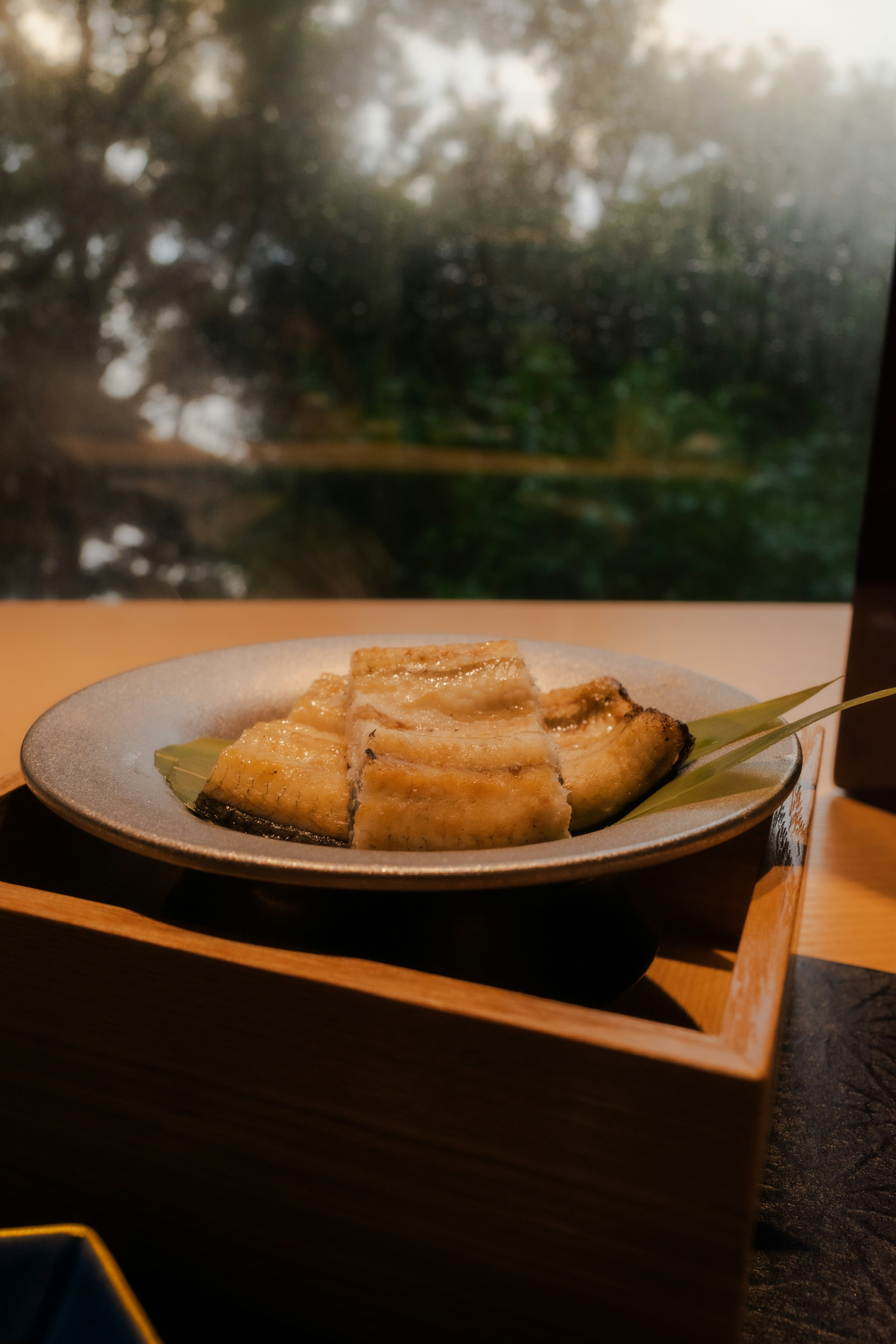 皿に盛られた焼き魚と自然光が差し込む風景