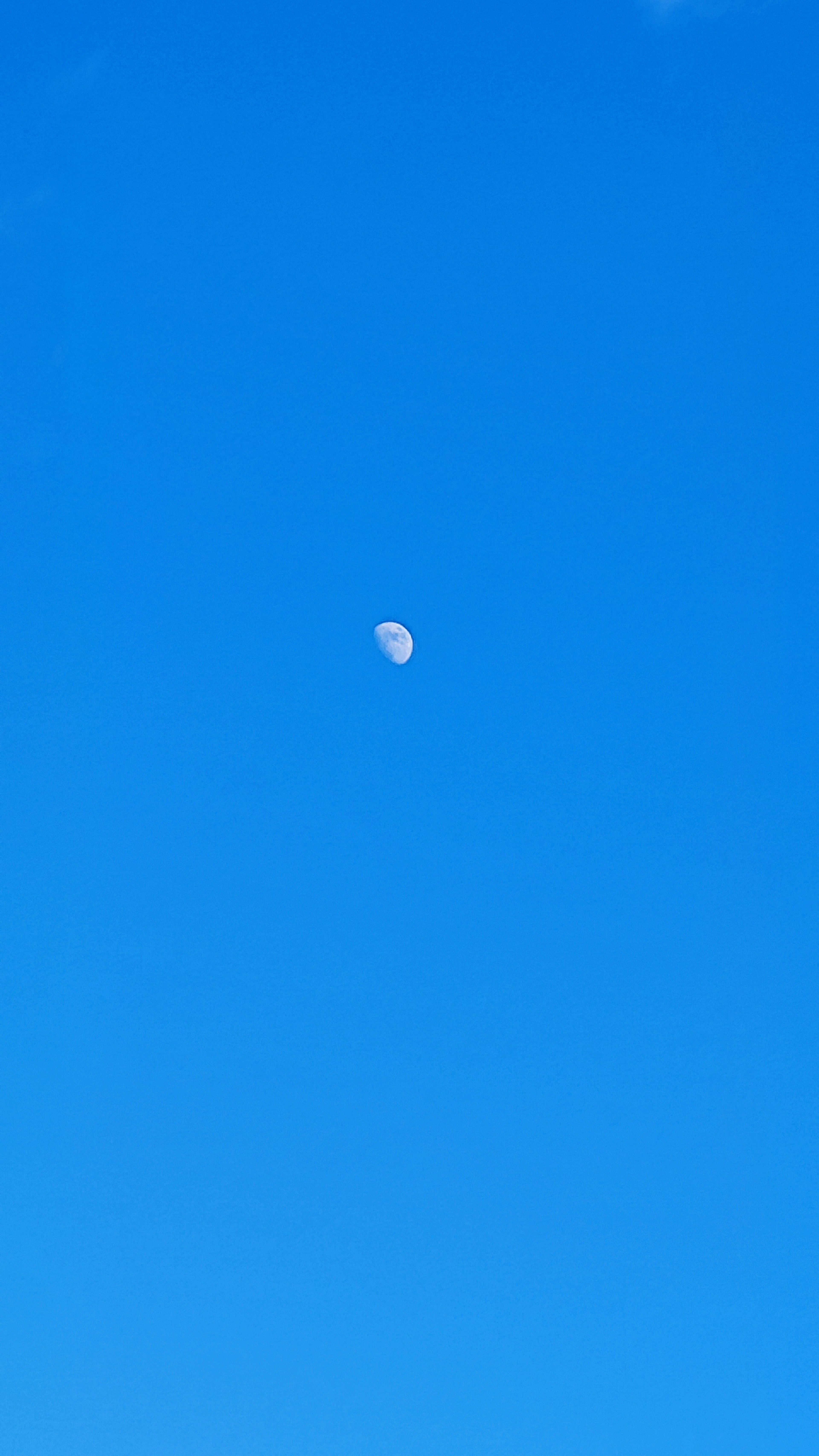 Gambar bulan di langit biru yang cerah