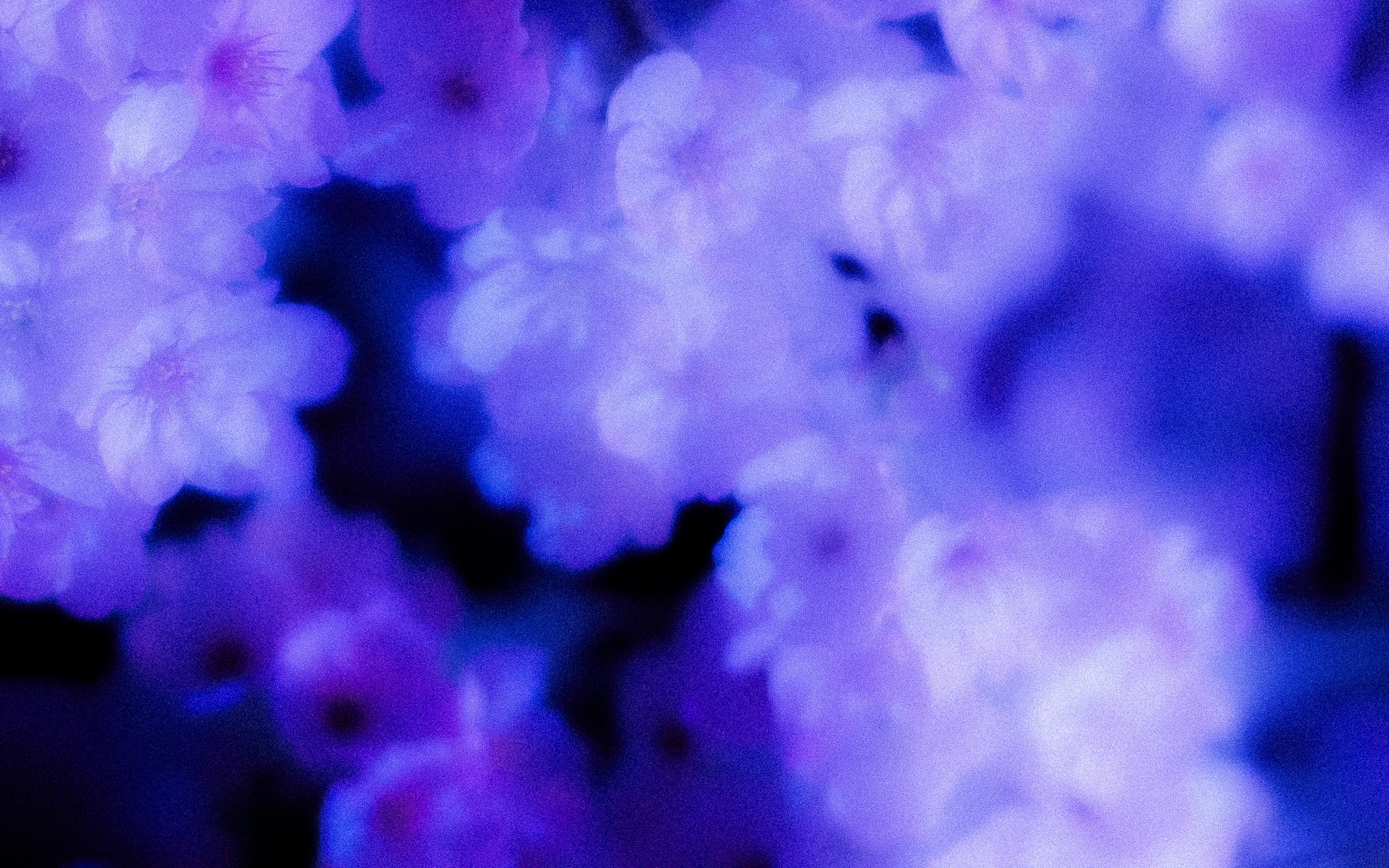 photo-w5JtnhmZD9eVSWufd4rV-image