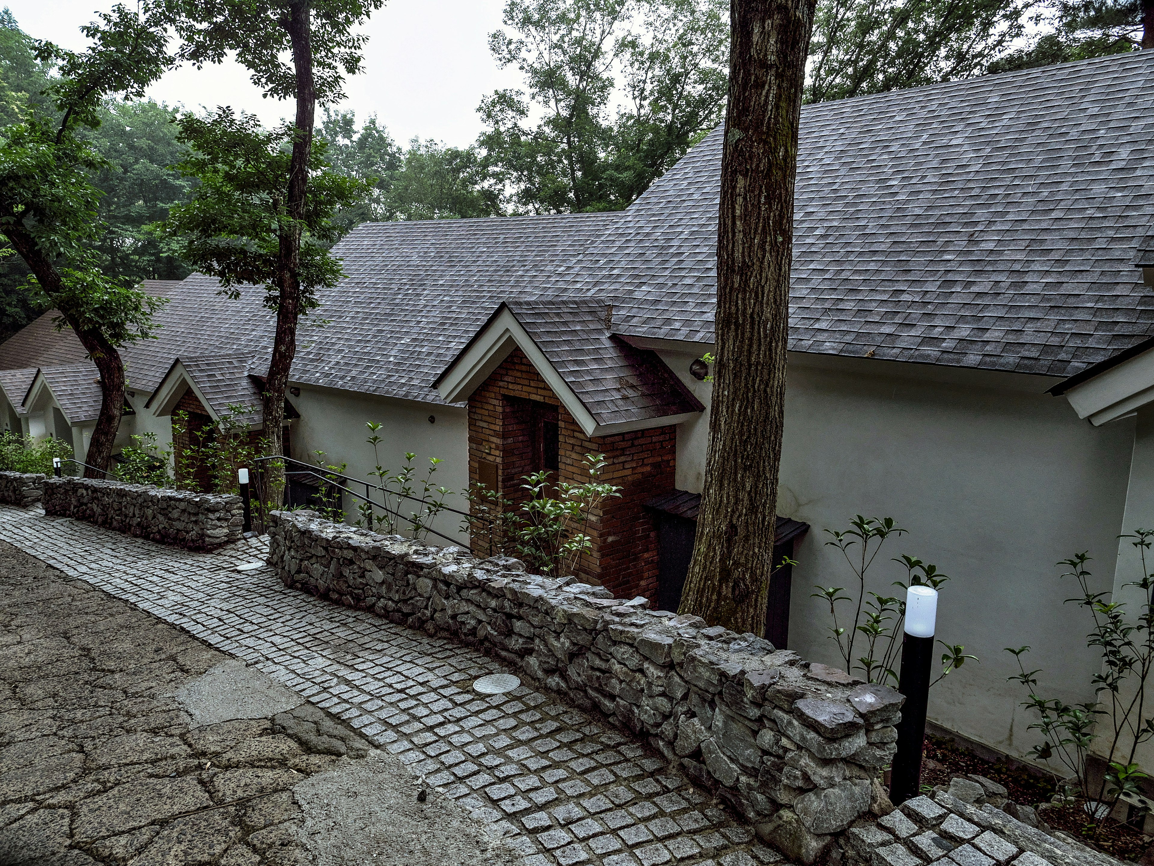 宁静的森林住宅区，特色石墙和铺砌小路