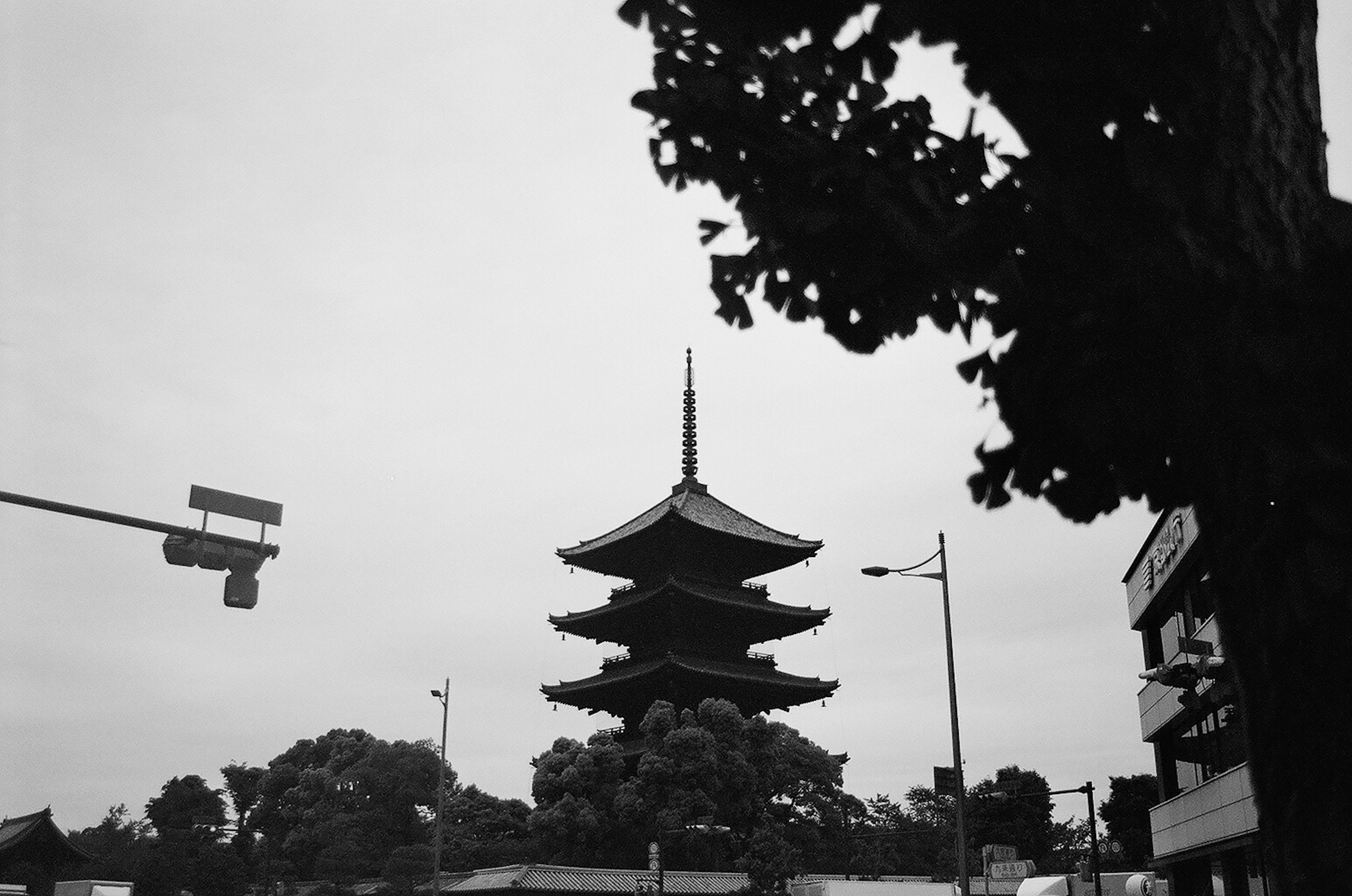 黒白の風景にそびえる五重塔と周囲の街並み