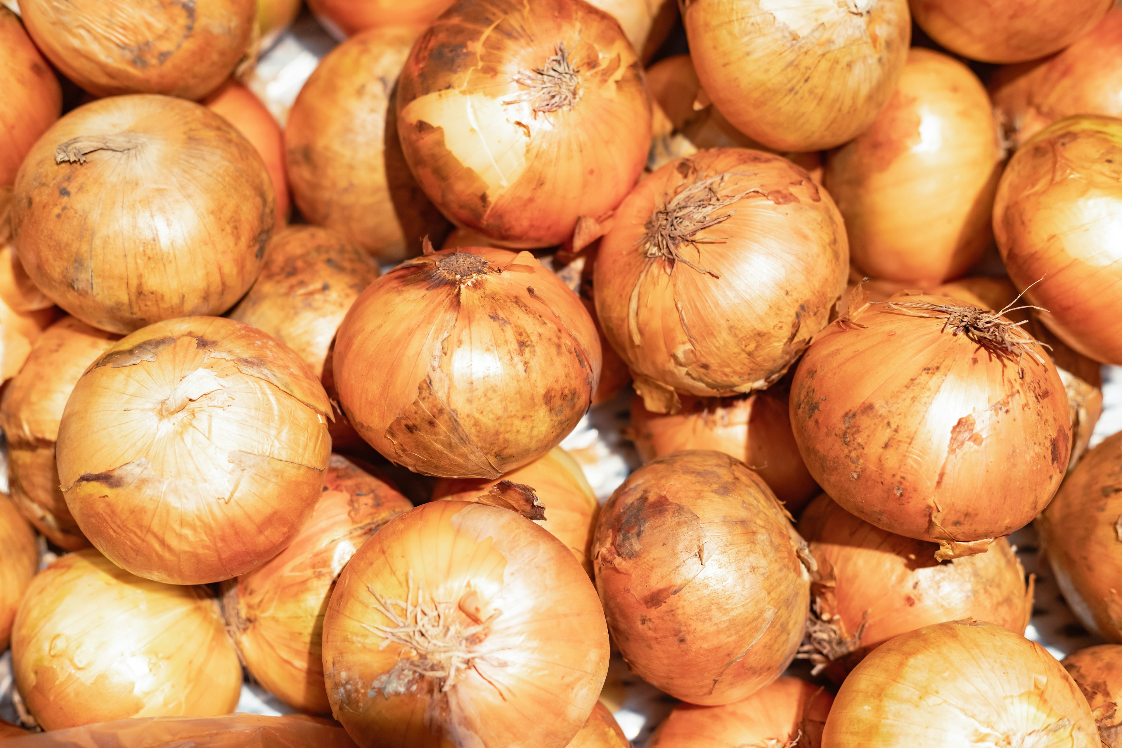 A pile of onions illuminated in natural light