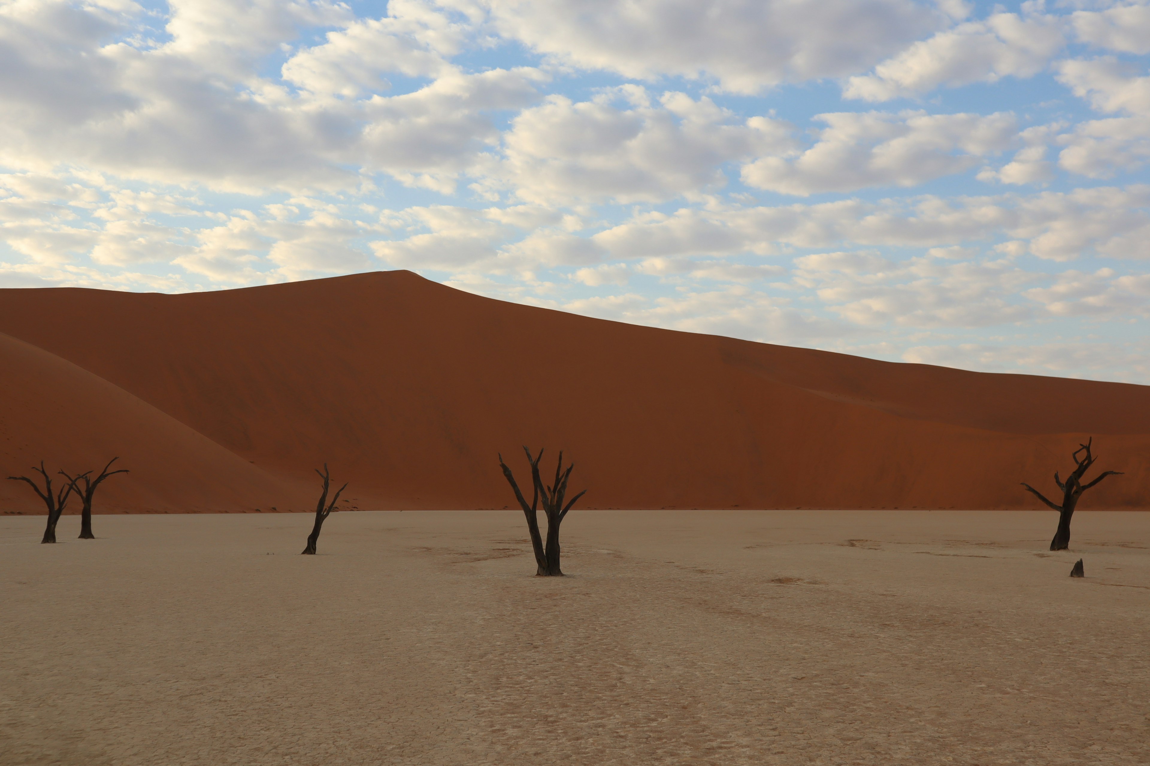 Paesaggio desertico con alberi morti e dune di sabbia rossa