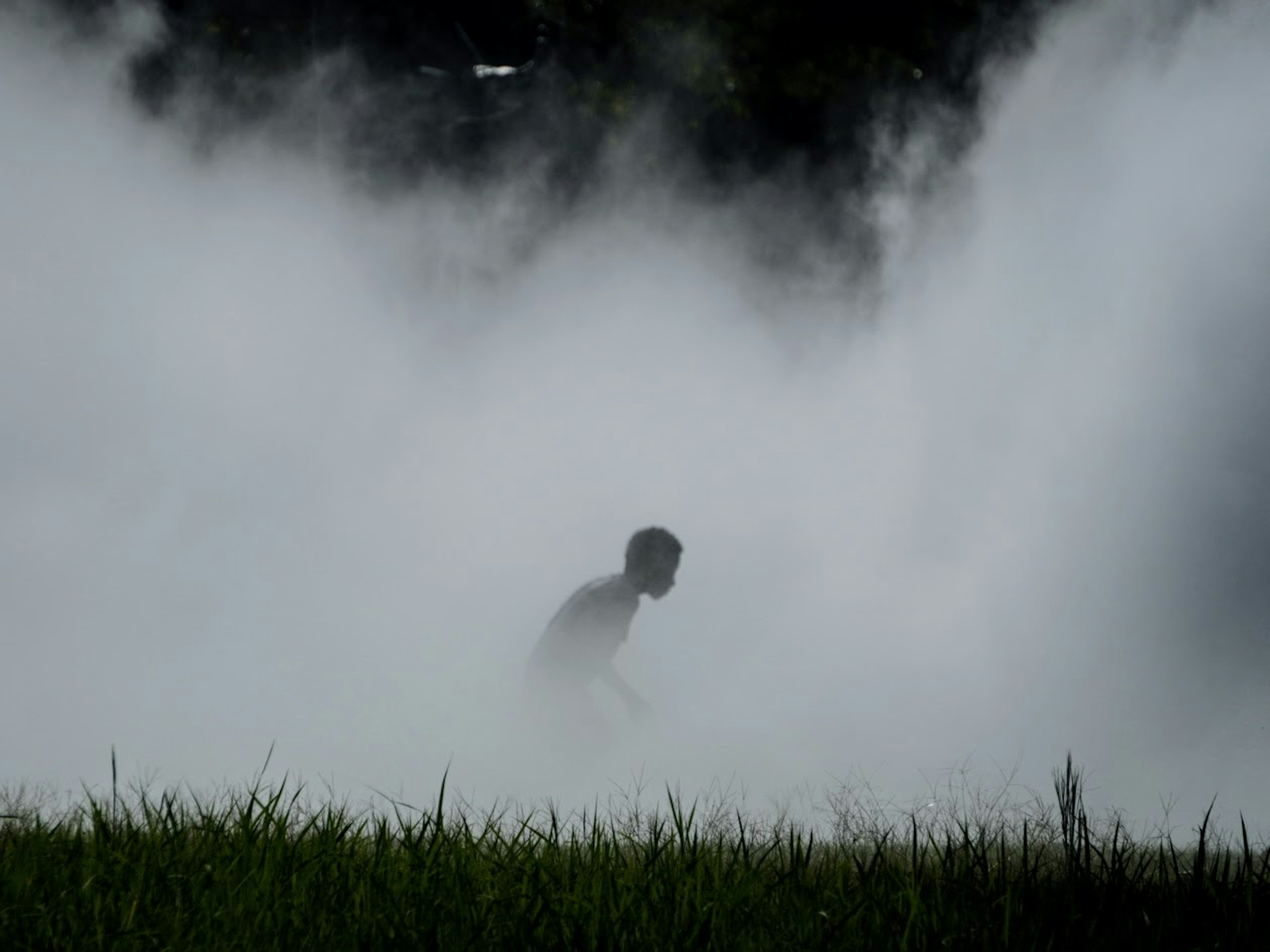 Silhouette of a person walking through fog in a field