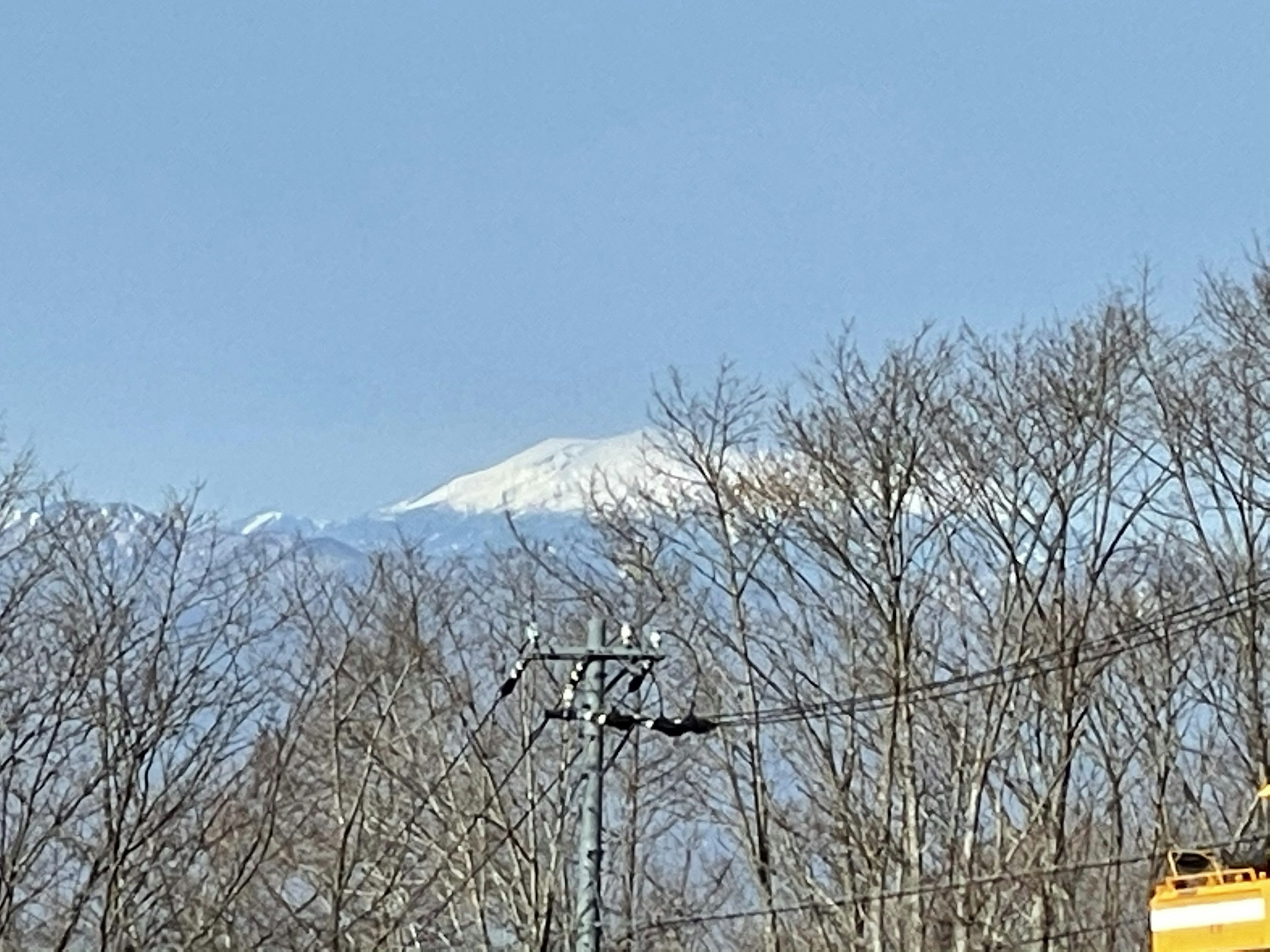 青空の下に雪をかぶった山と冬の木々が見える風景