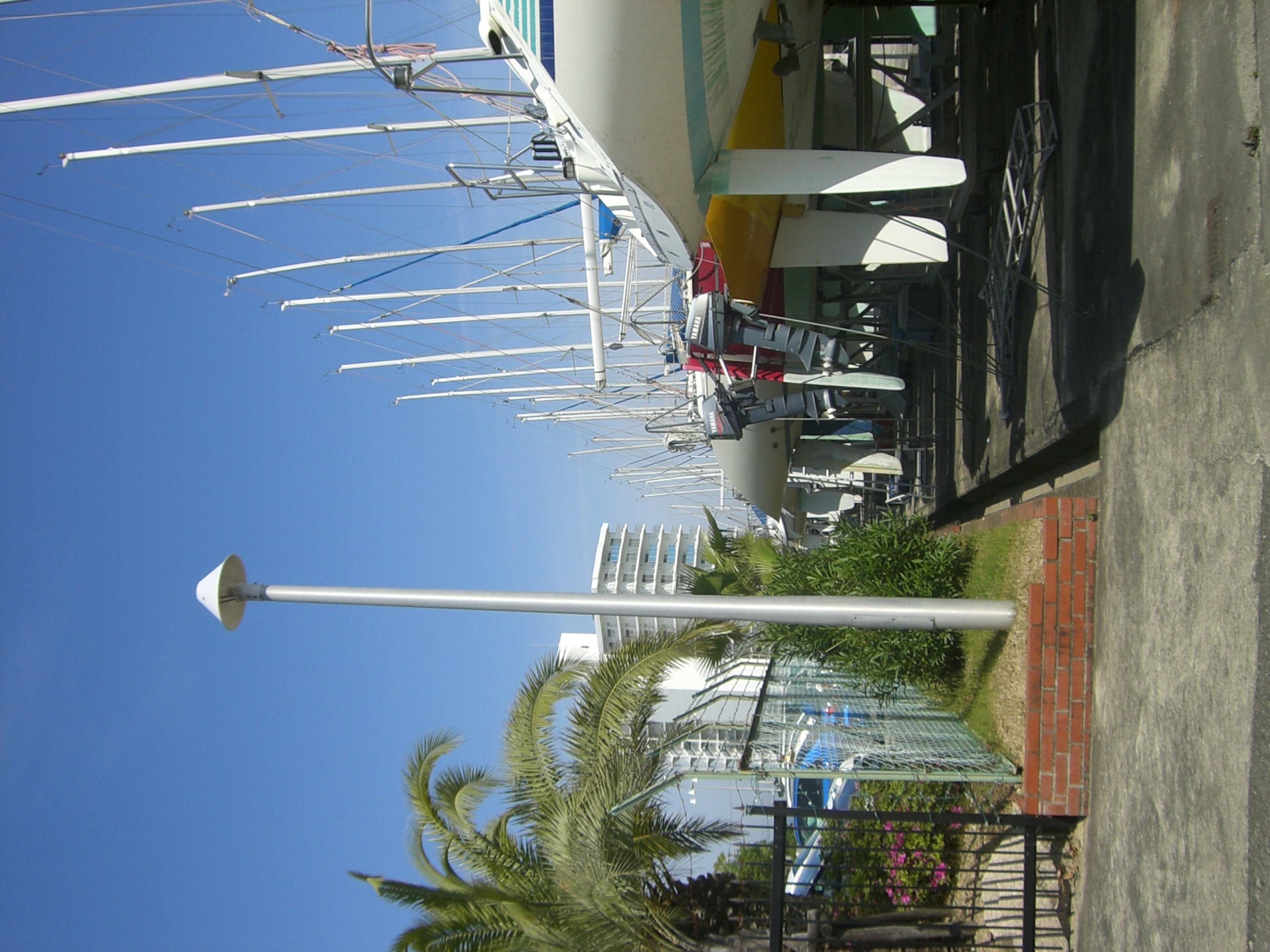 Landschaft von Yachtmasten und Palmen unter blauem Himmel