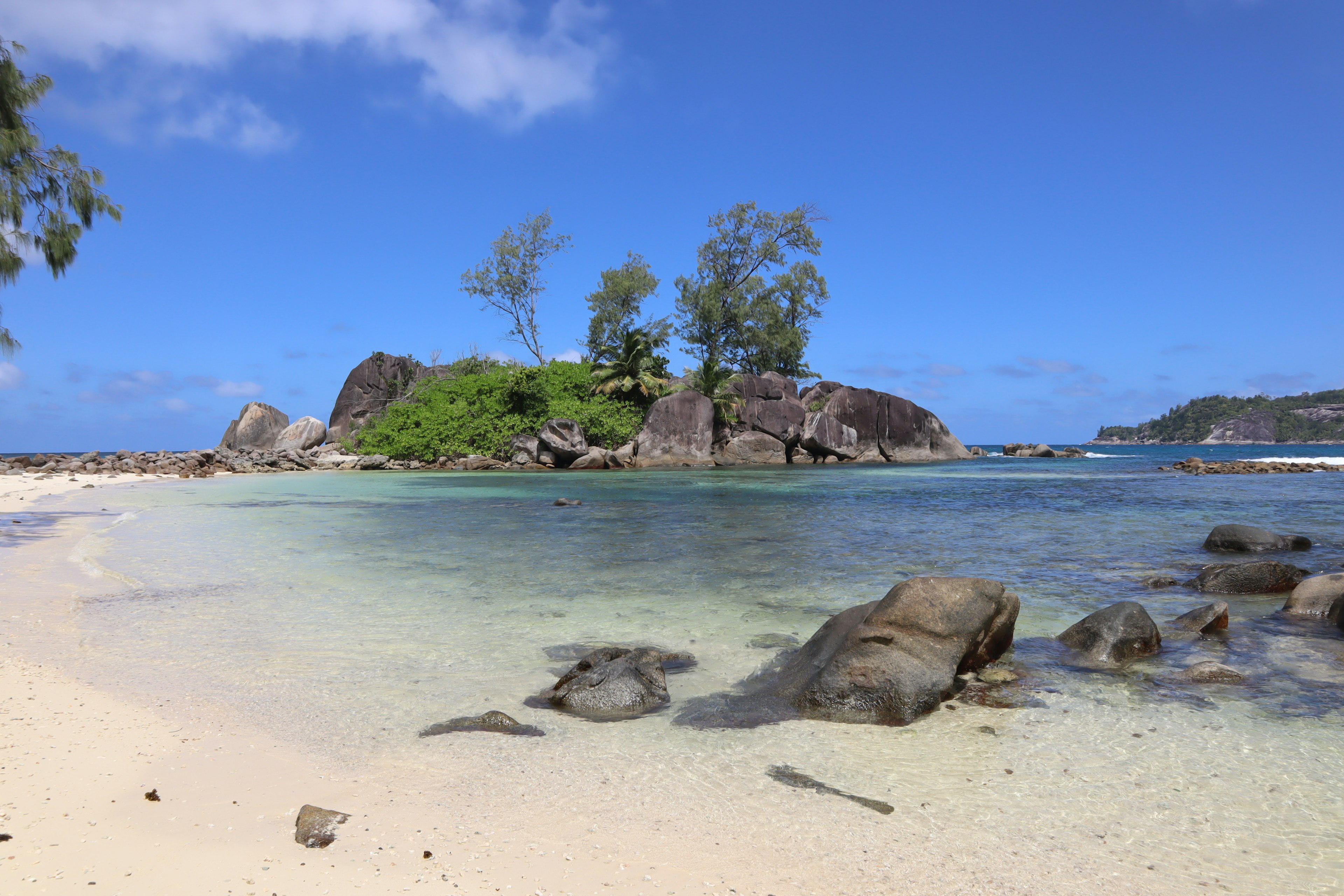 Malerscher Strandblick mit klarem Wasser kleiner Insel und grünen Bäumen