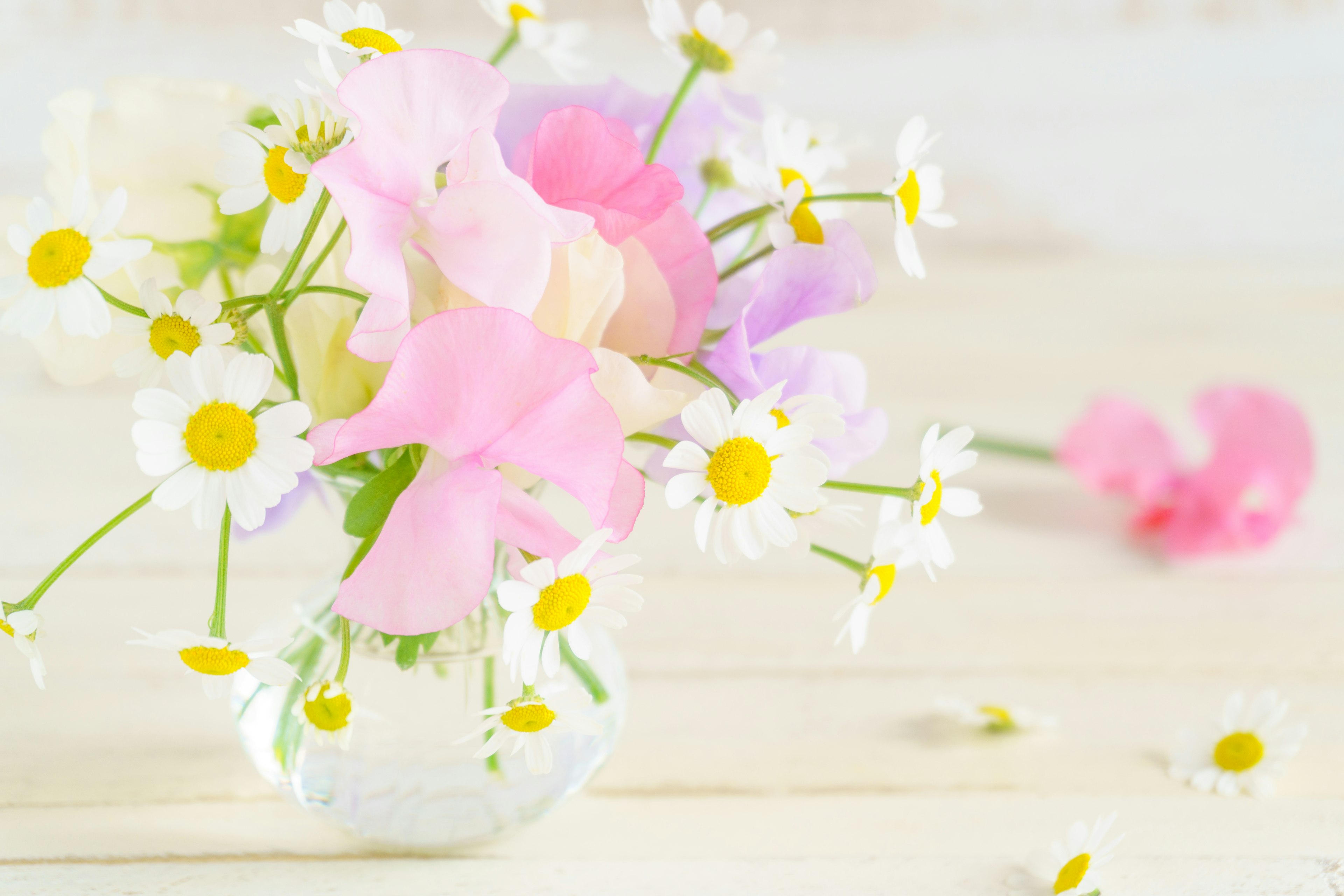 Bild einer klaren Vase mit pastellfarbenen Blumen