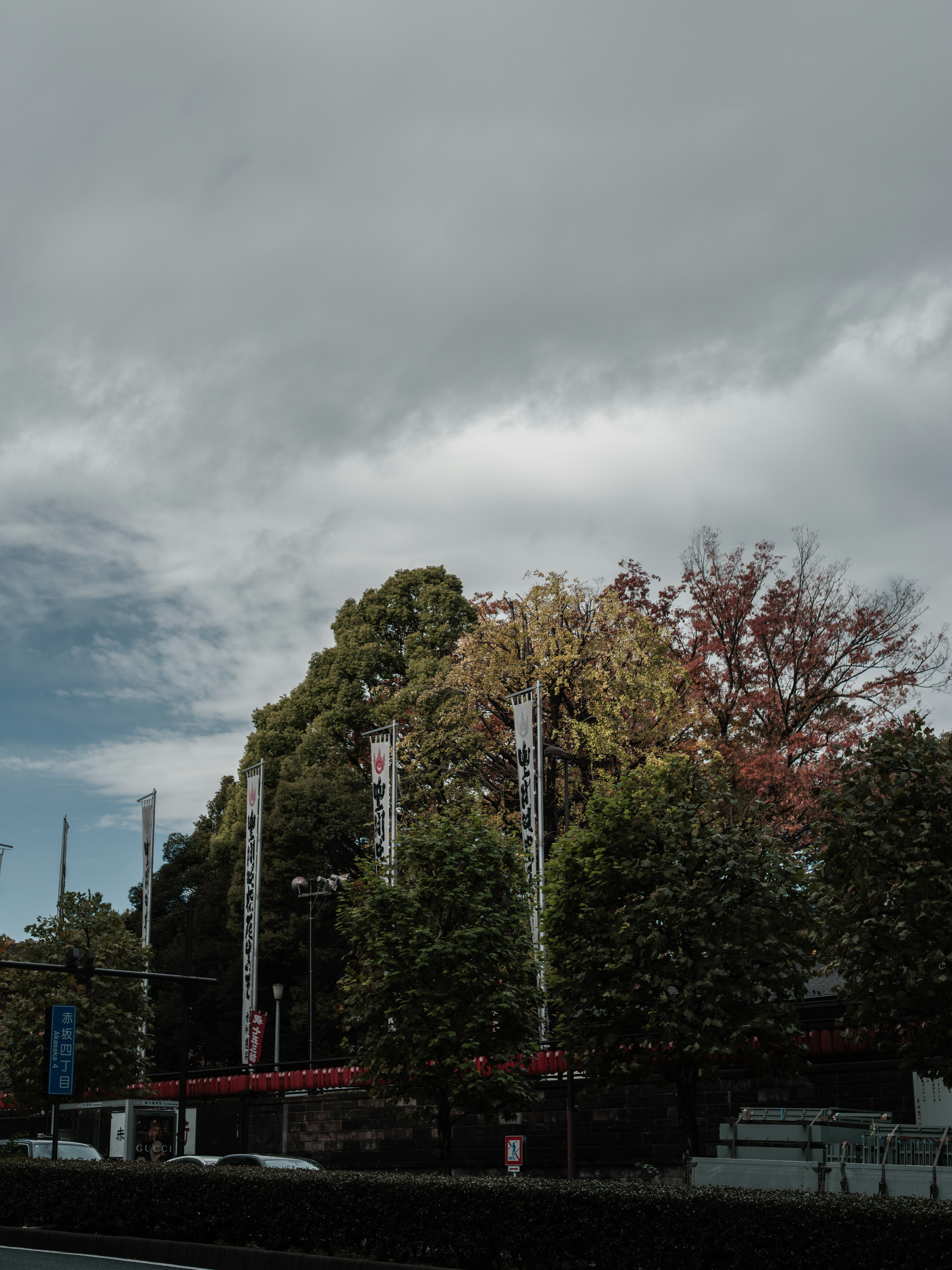 Foto lanskap dengan langit mendung dan pohon hijau