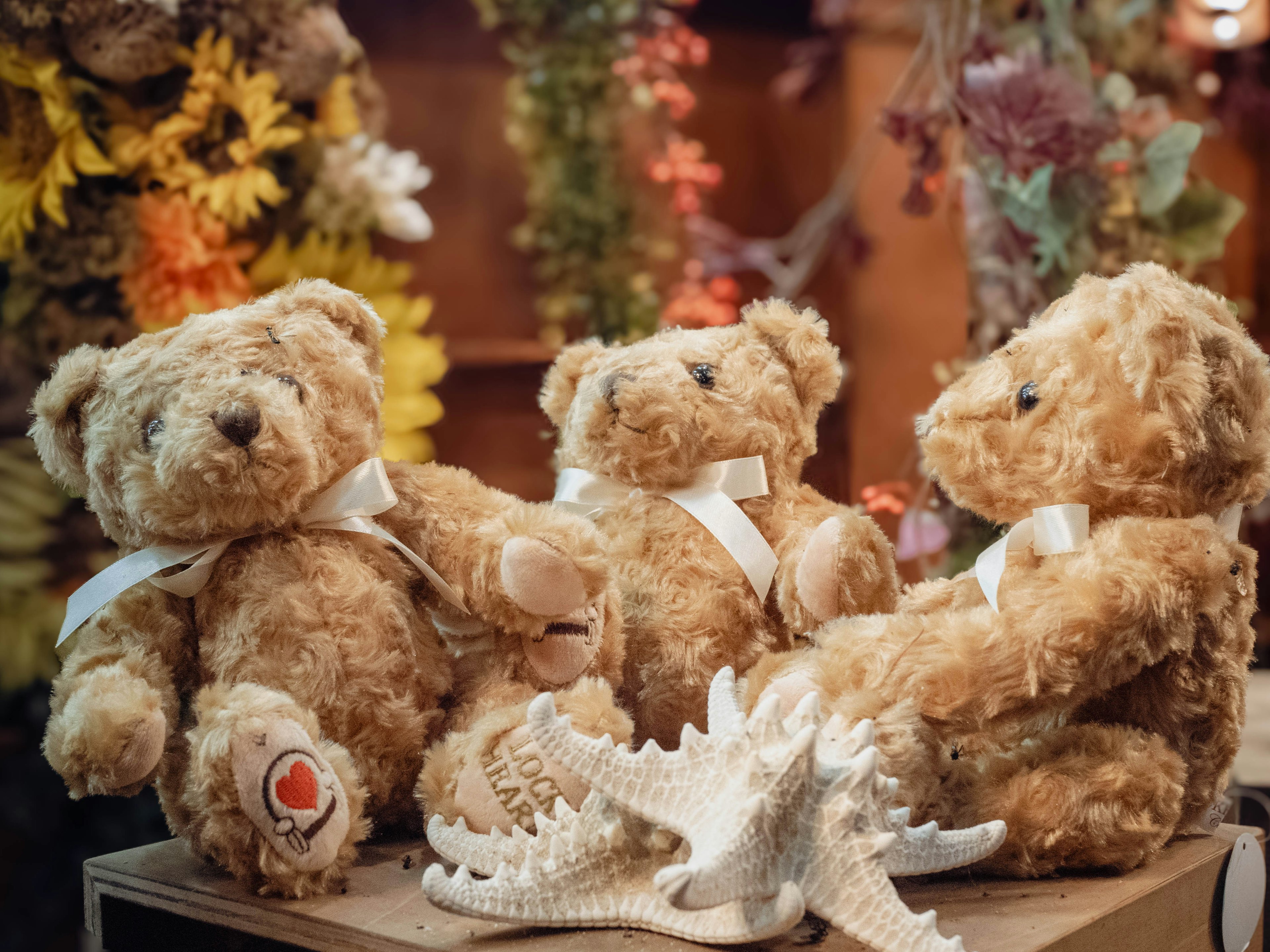 Three plush teddy bears sitting with a floral background