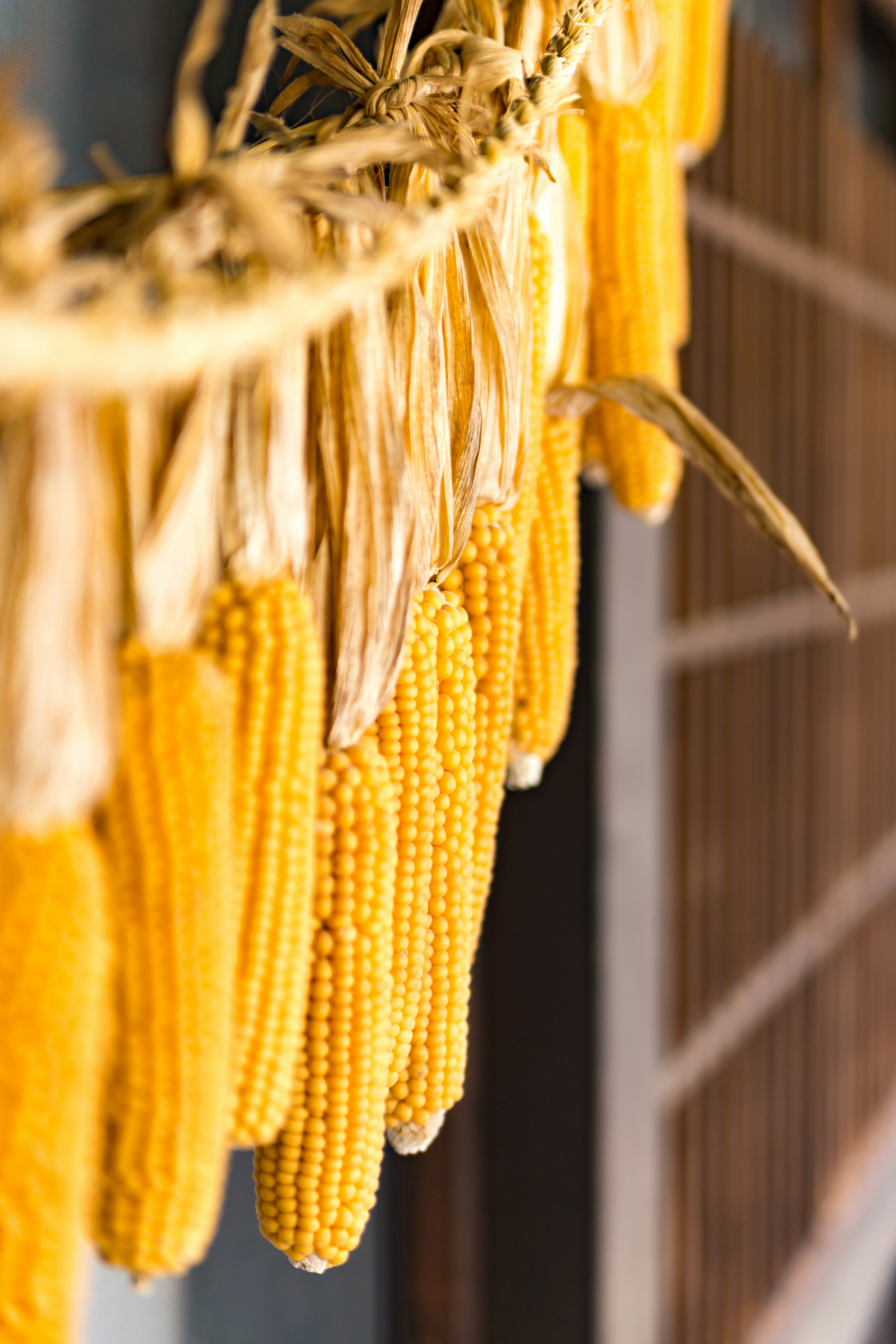 Mazorcas de maíz amarillo secas colgadas de una cuerda