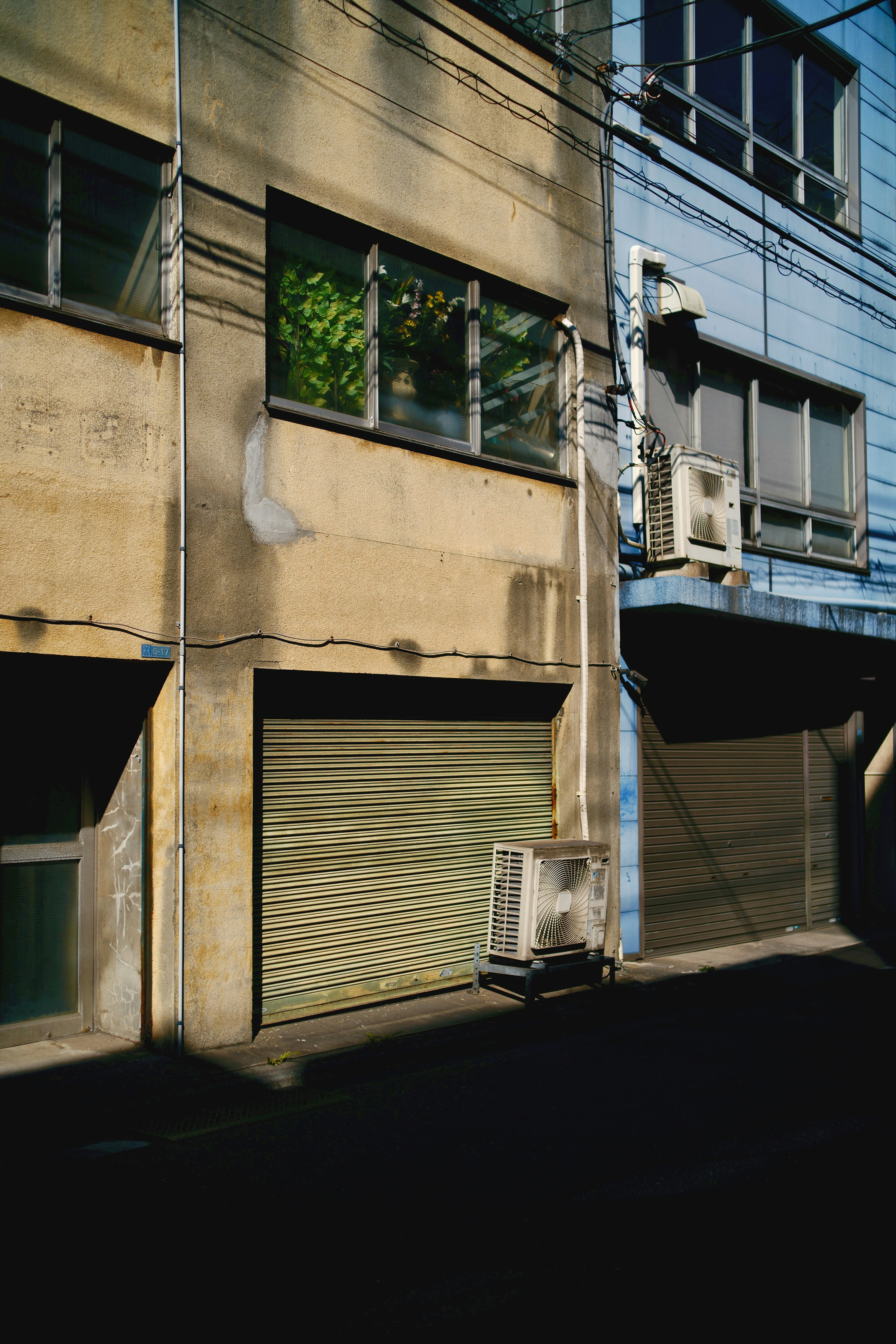 Façade d'un vieux bâtiment avec des murs bleus et beiges, verdure visible à travers les fenêtres, unité de climatisation