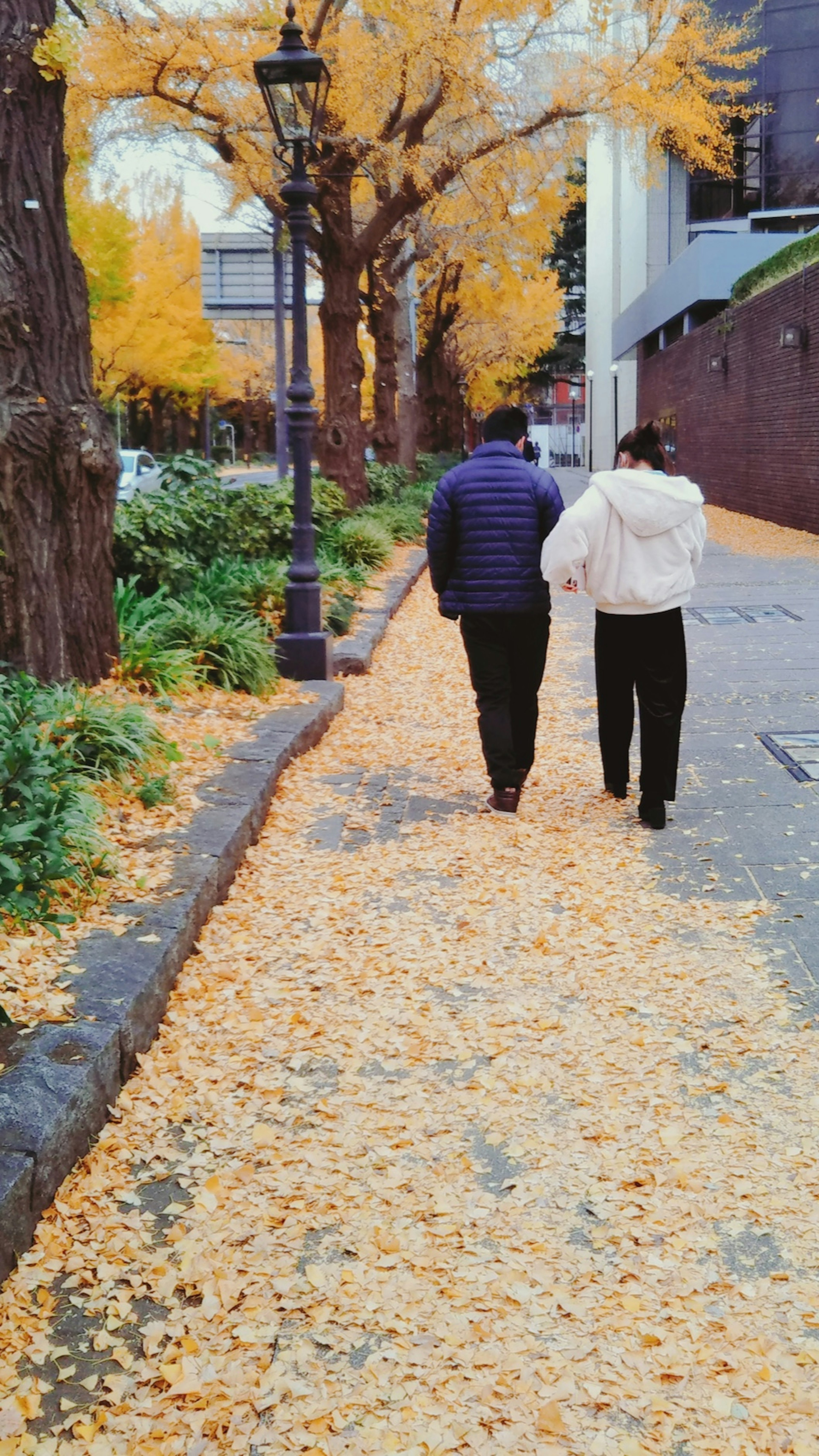 Dos personas caminando sobre un camino cubierto de hojas de otoño y árboles circundantes